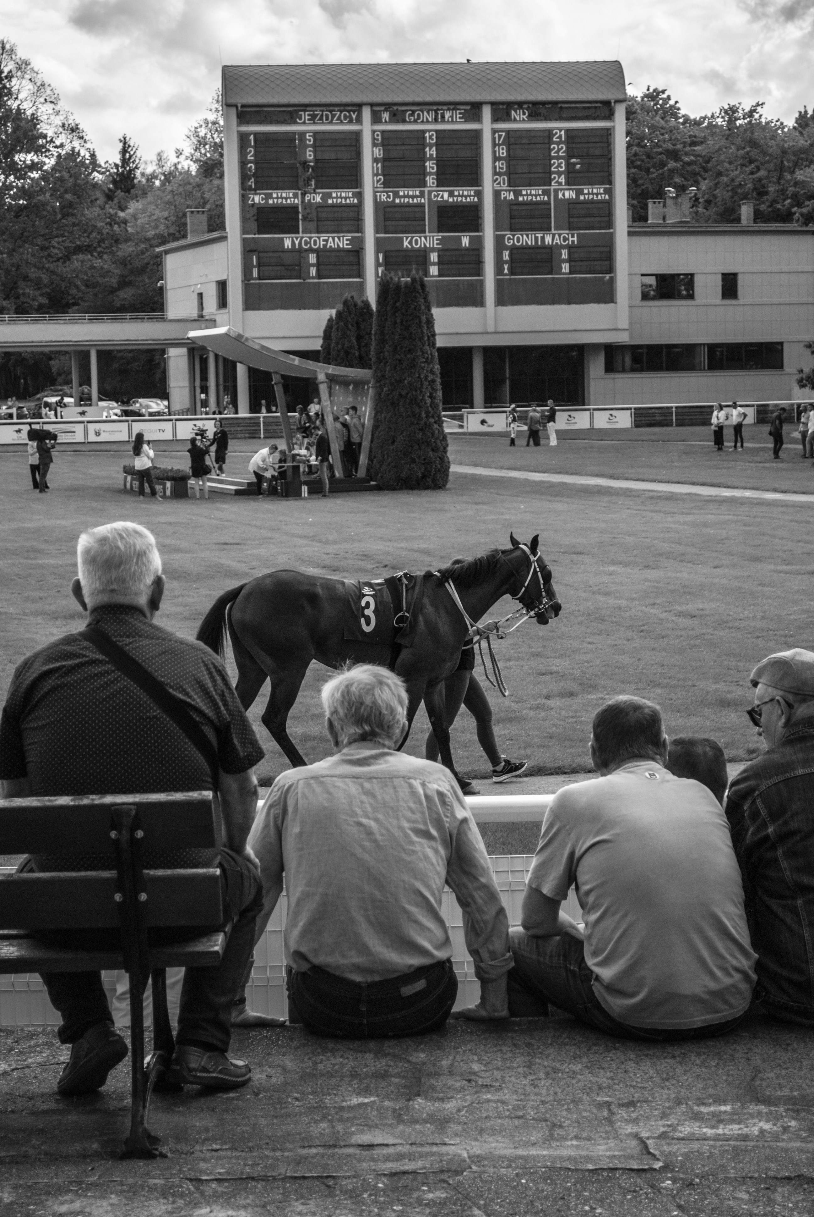 Os espectadores assistem a um cavalo sendo conduzido em uma pista de corrida