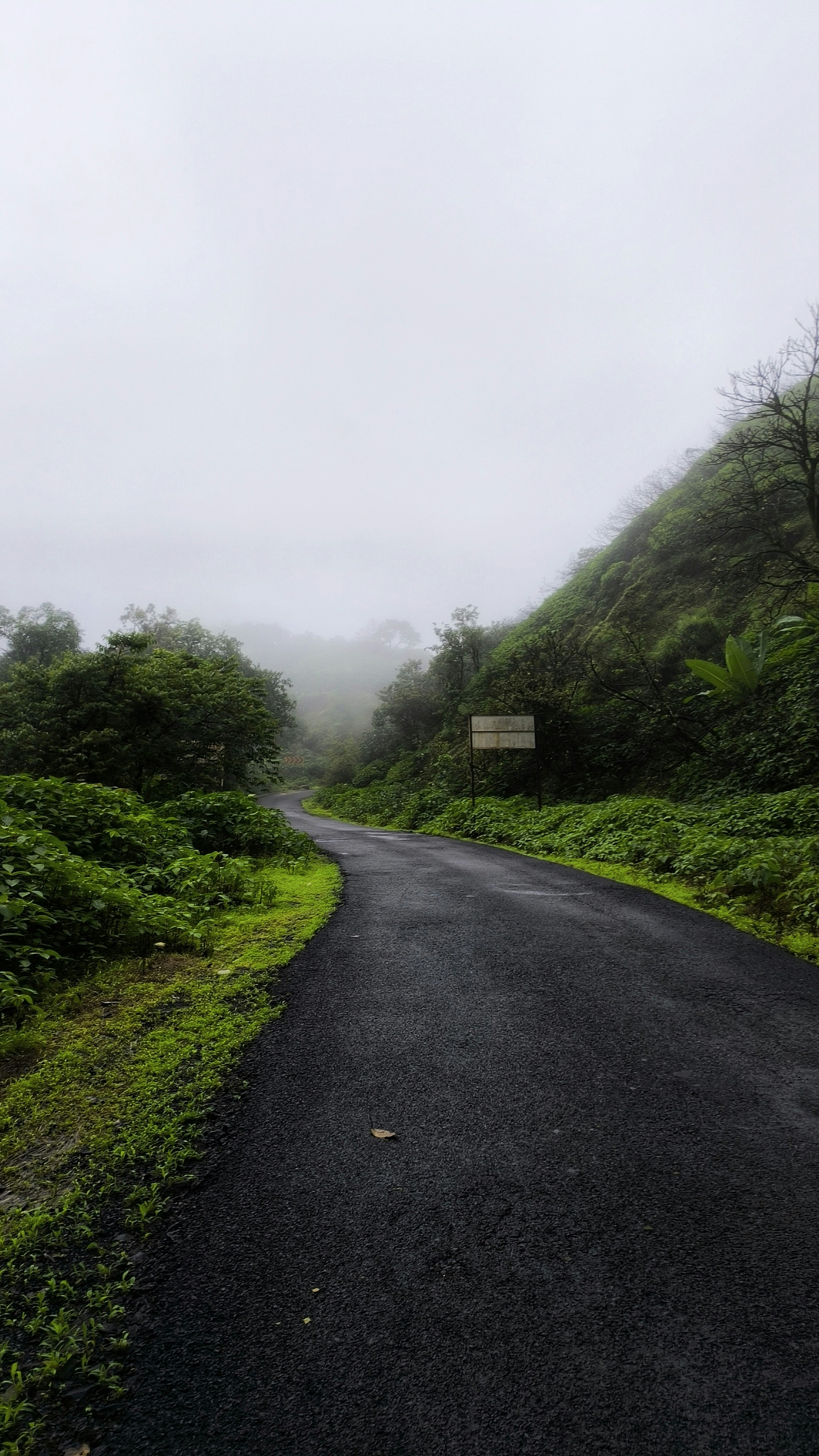 Photo by abhishek_127