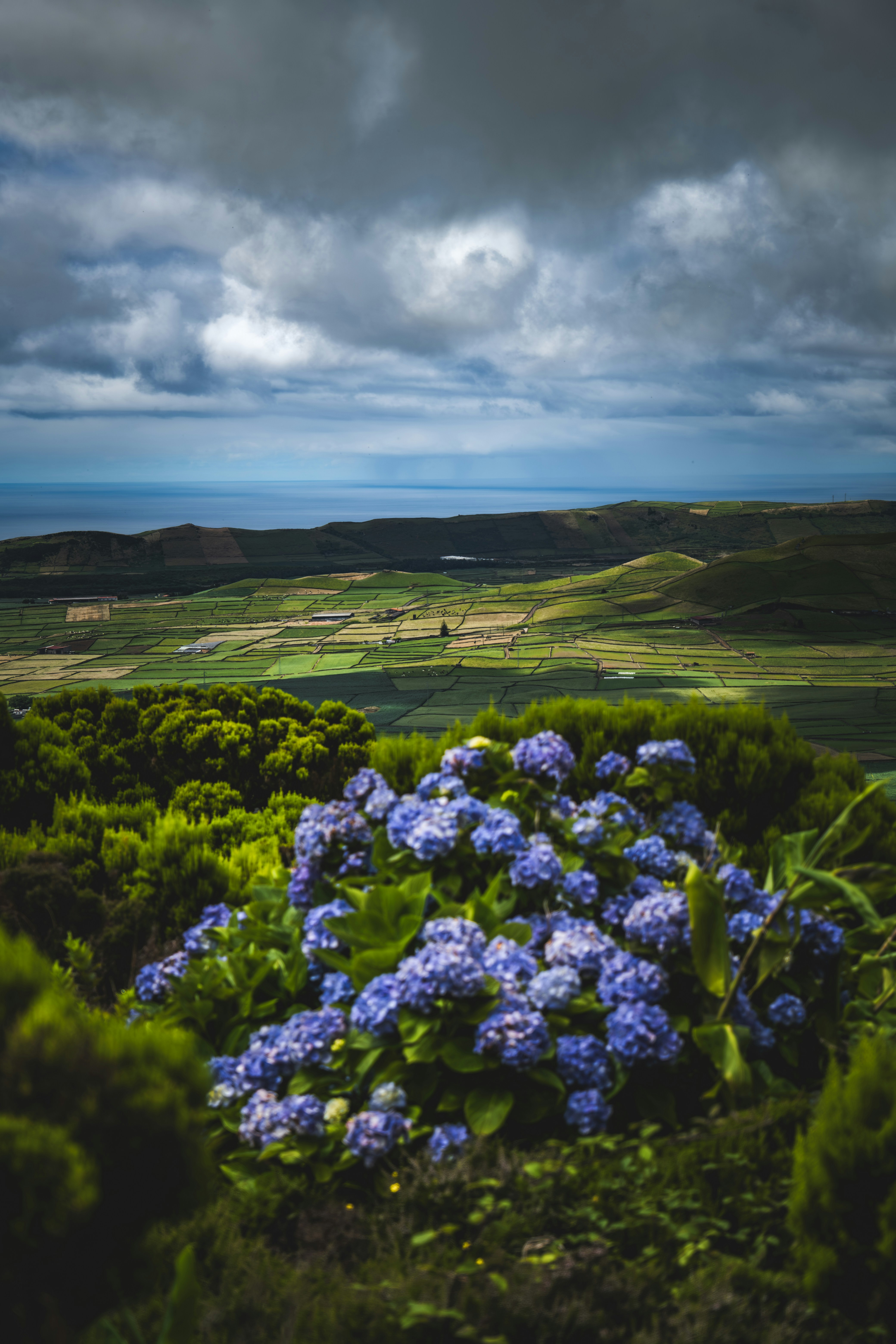 Photo by francesco_ungaro