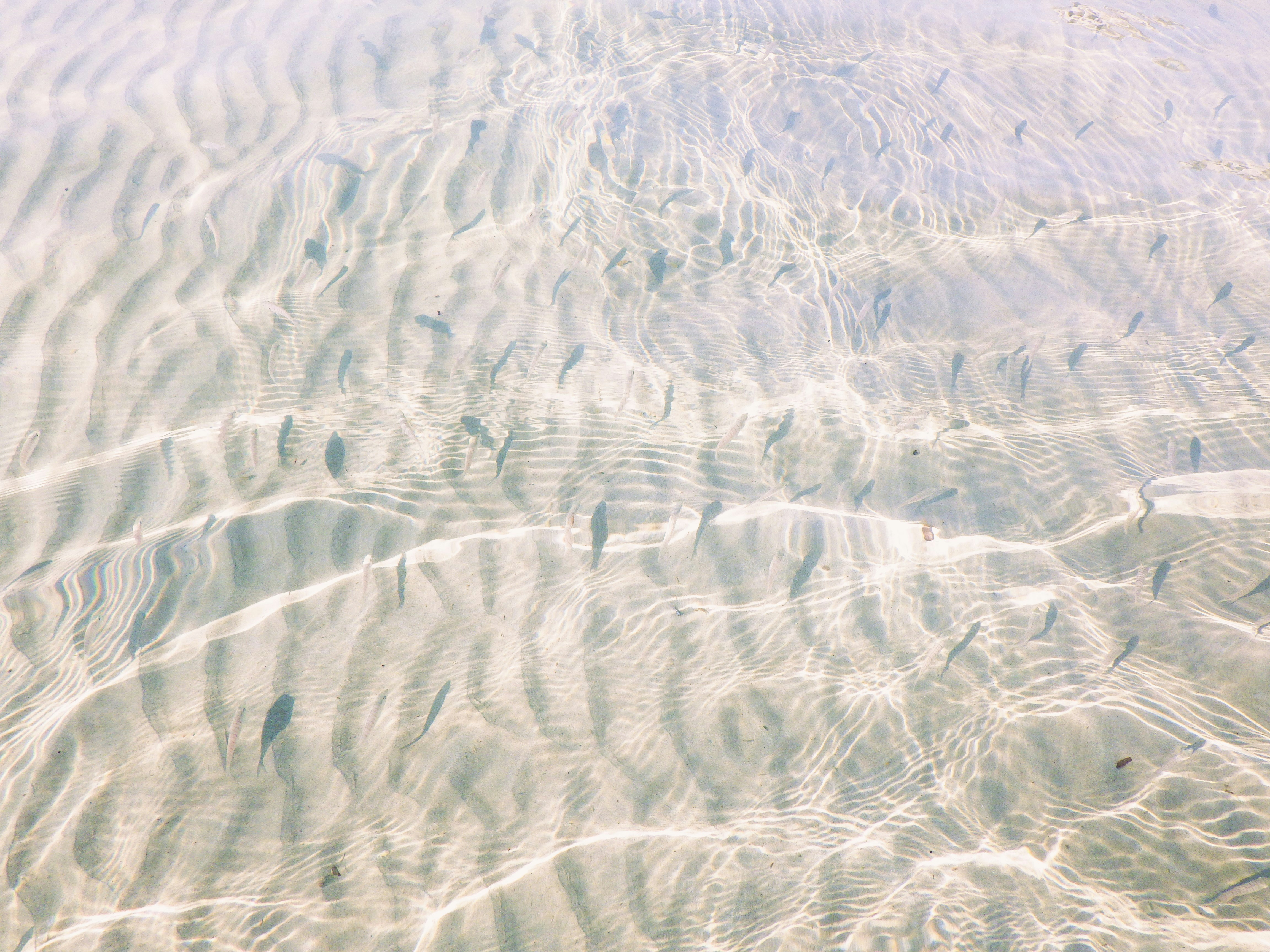 Photo by dominapetric