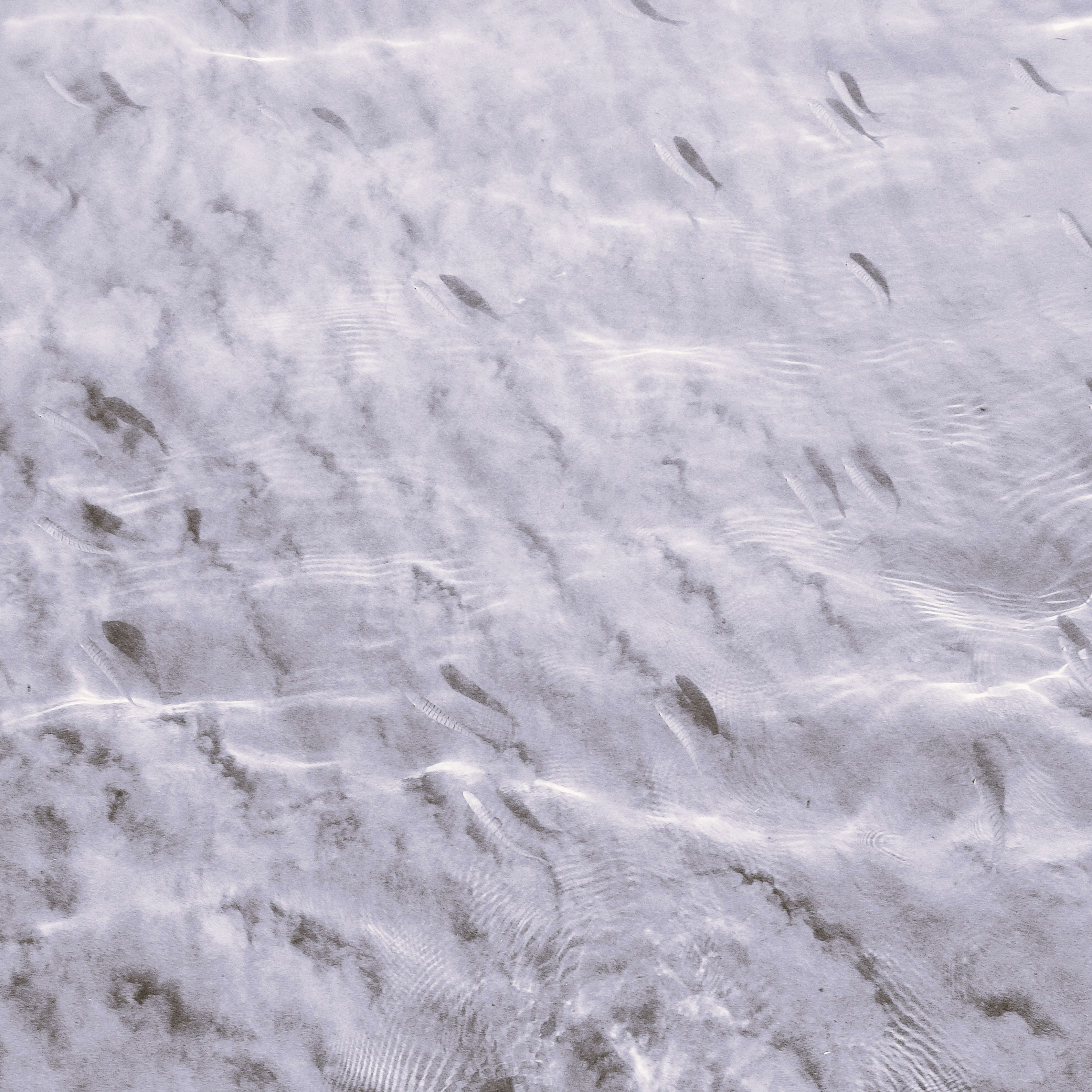 Photo by dominapetric