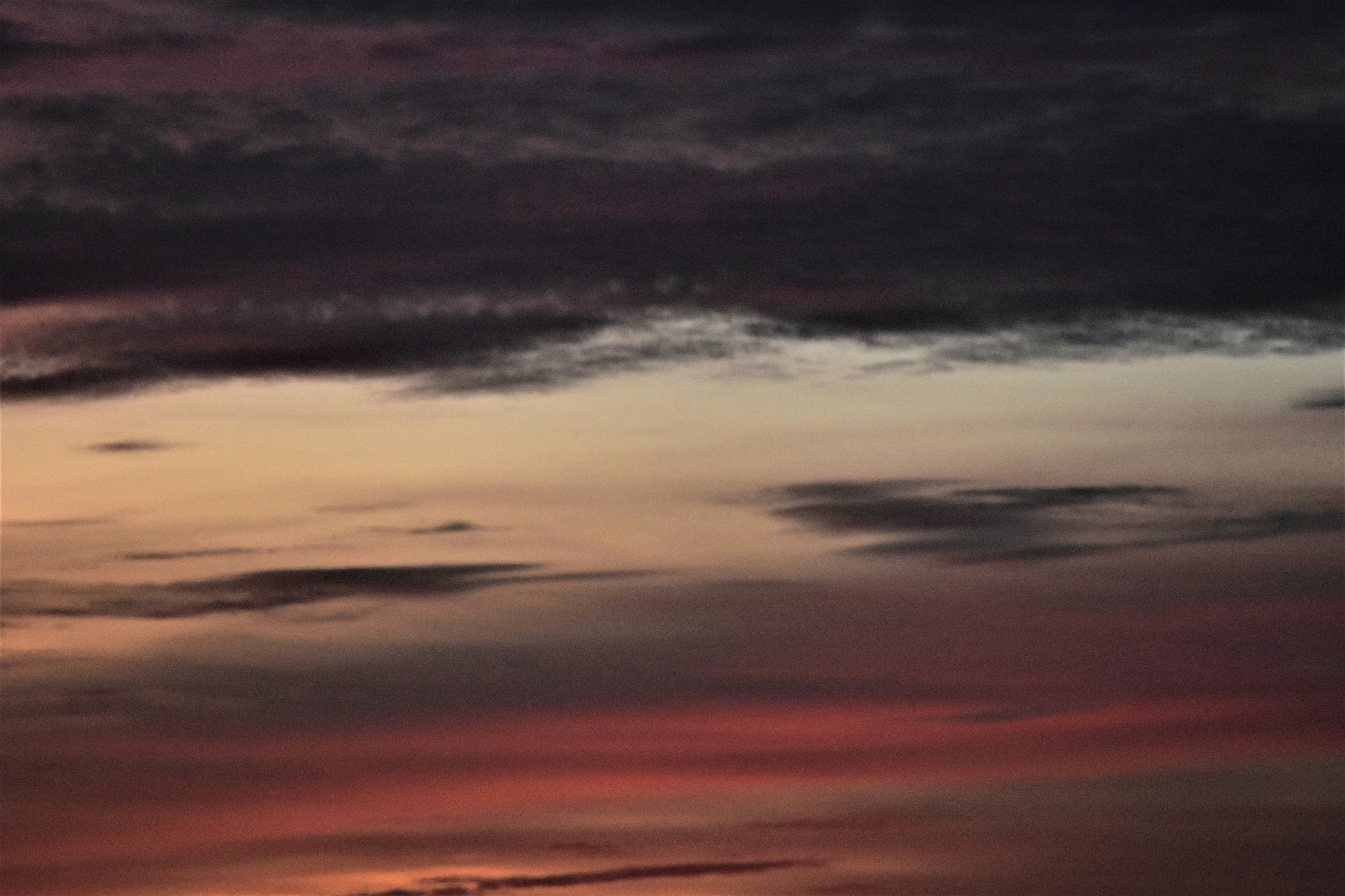 Photo by danielelarosa