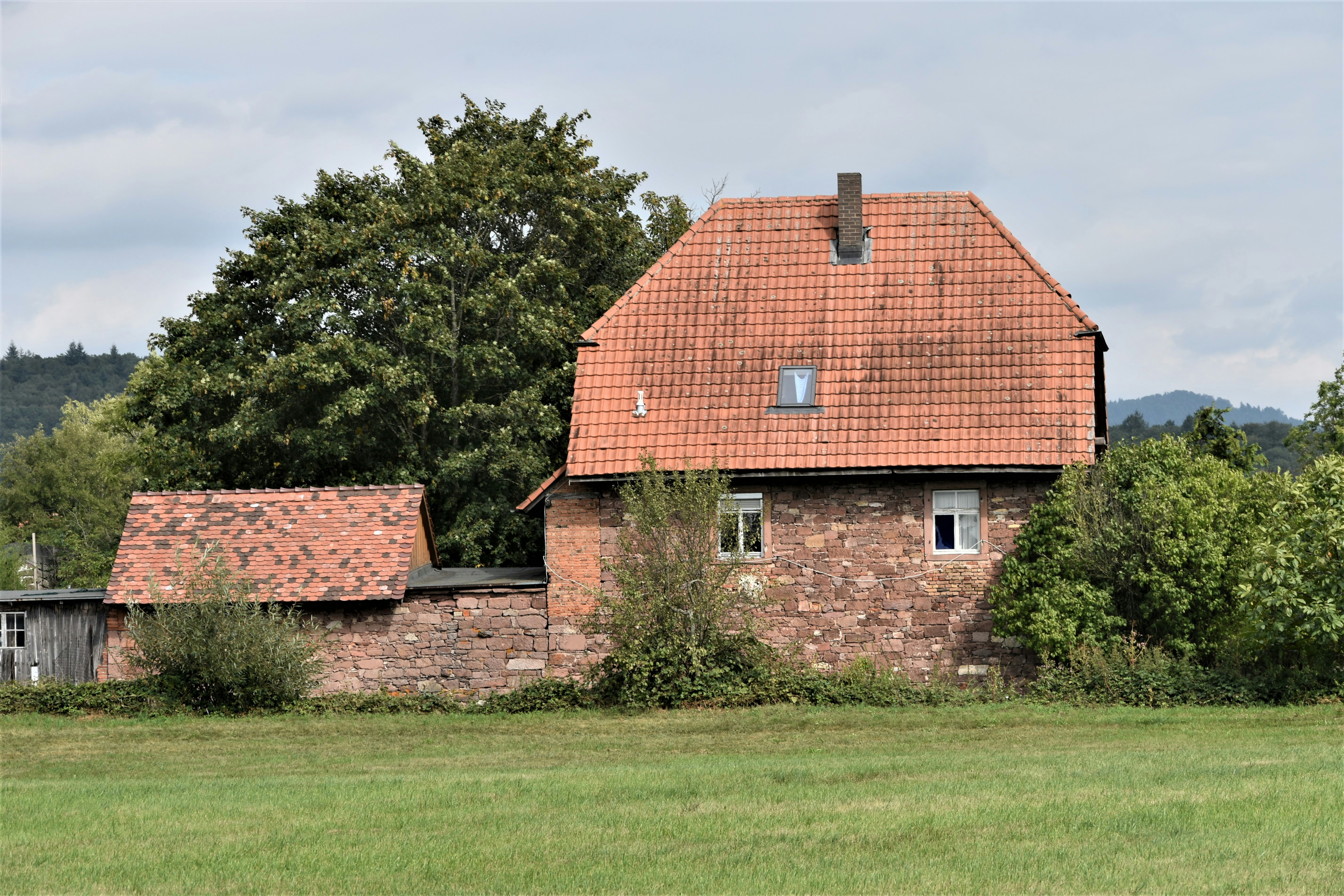 Photo by danielelarosa