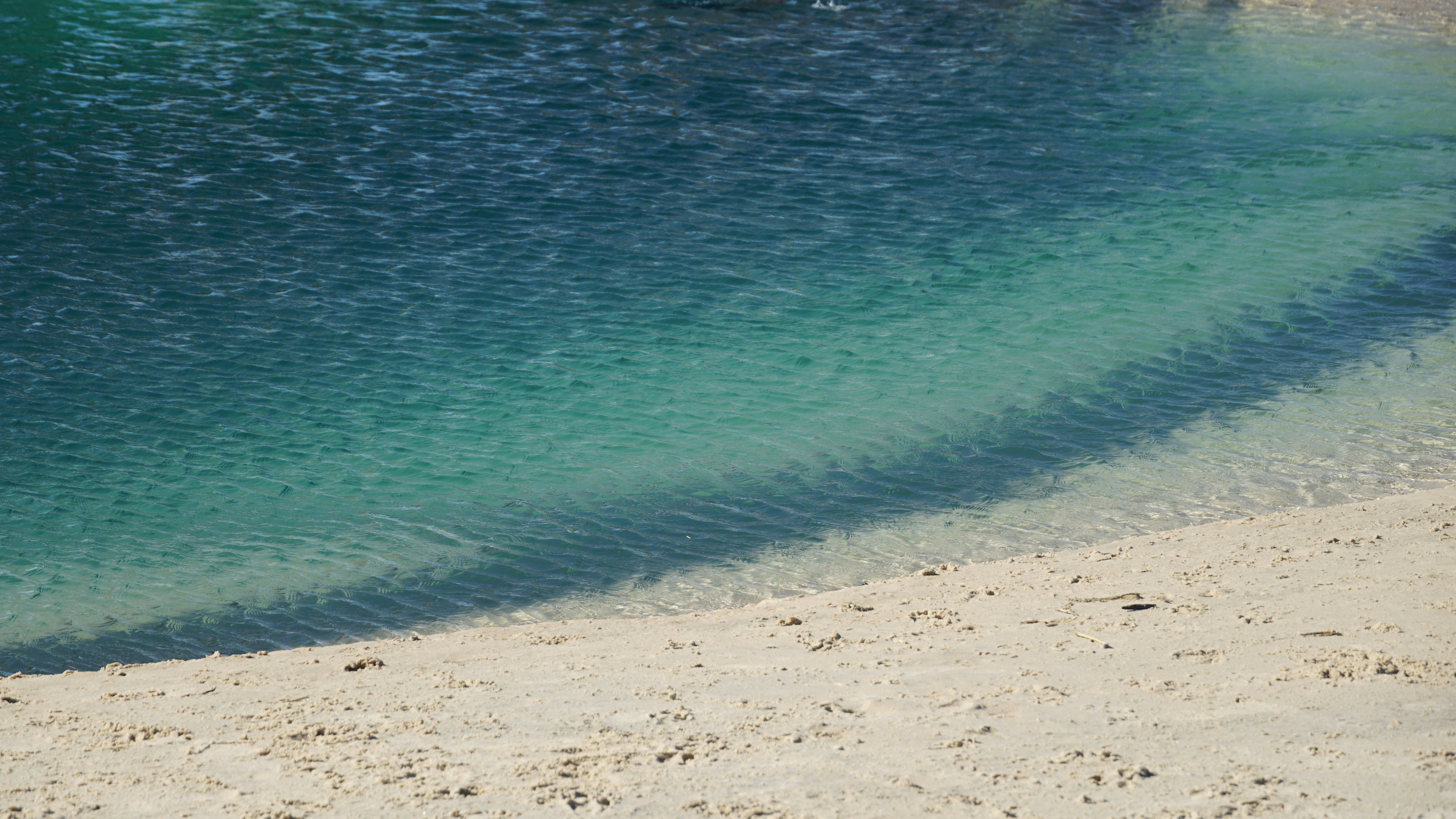 Sandy beach meets clear turquoise ocean water