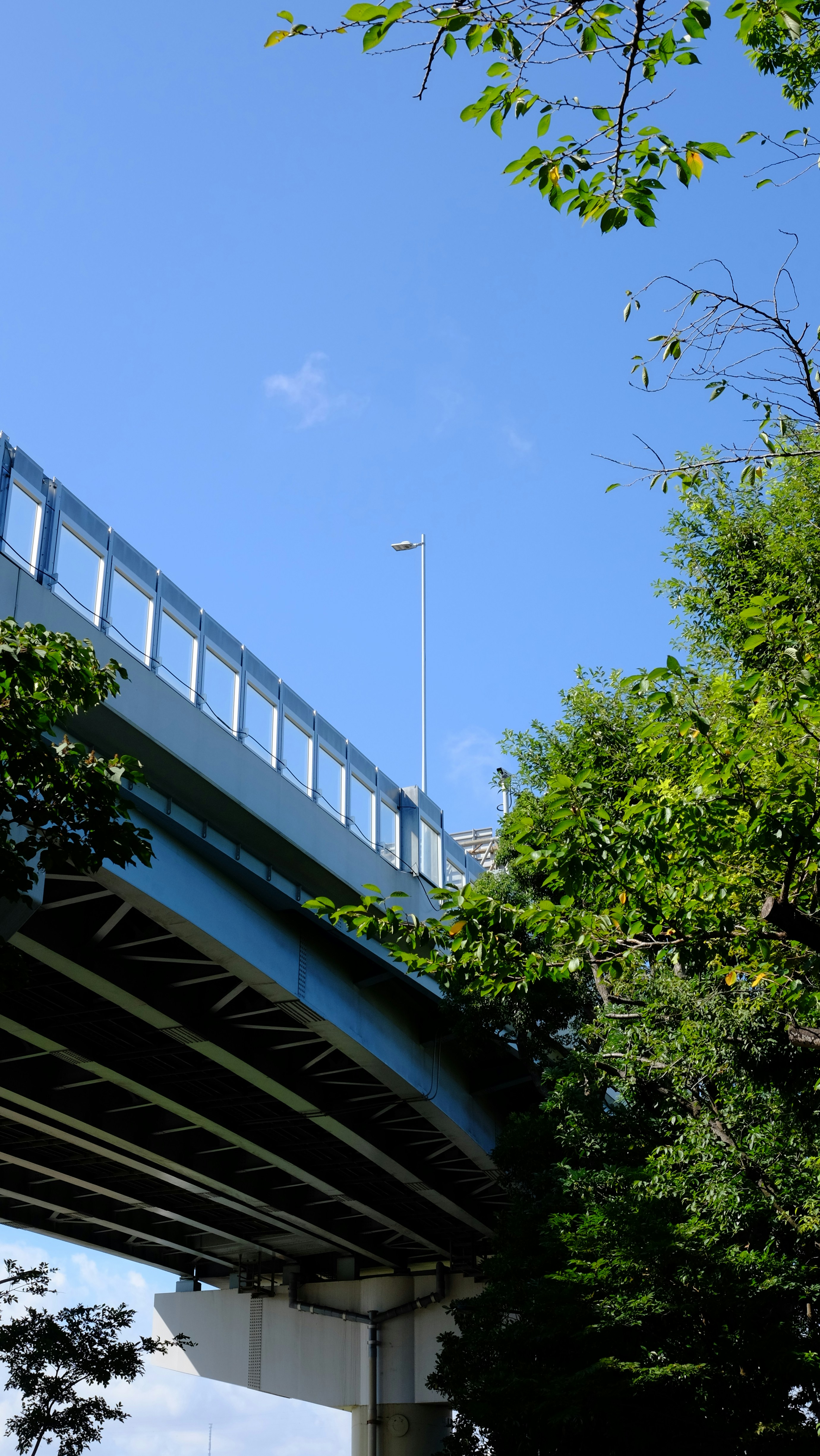 Photo by oliverhu711