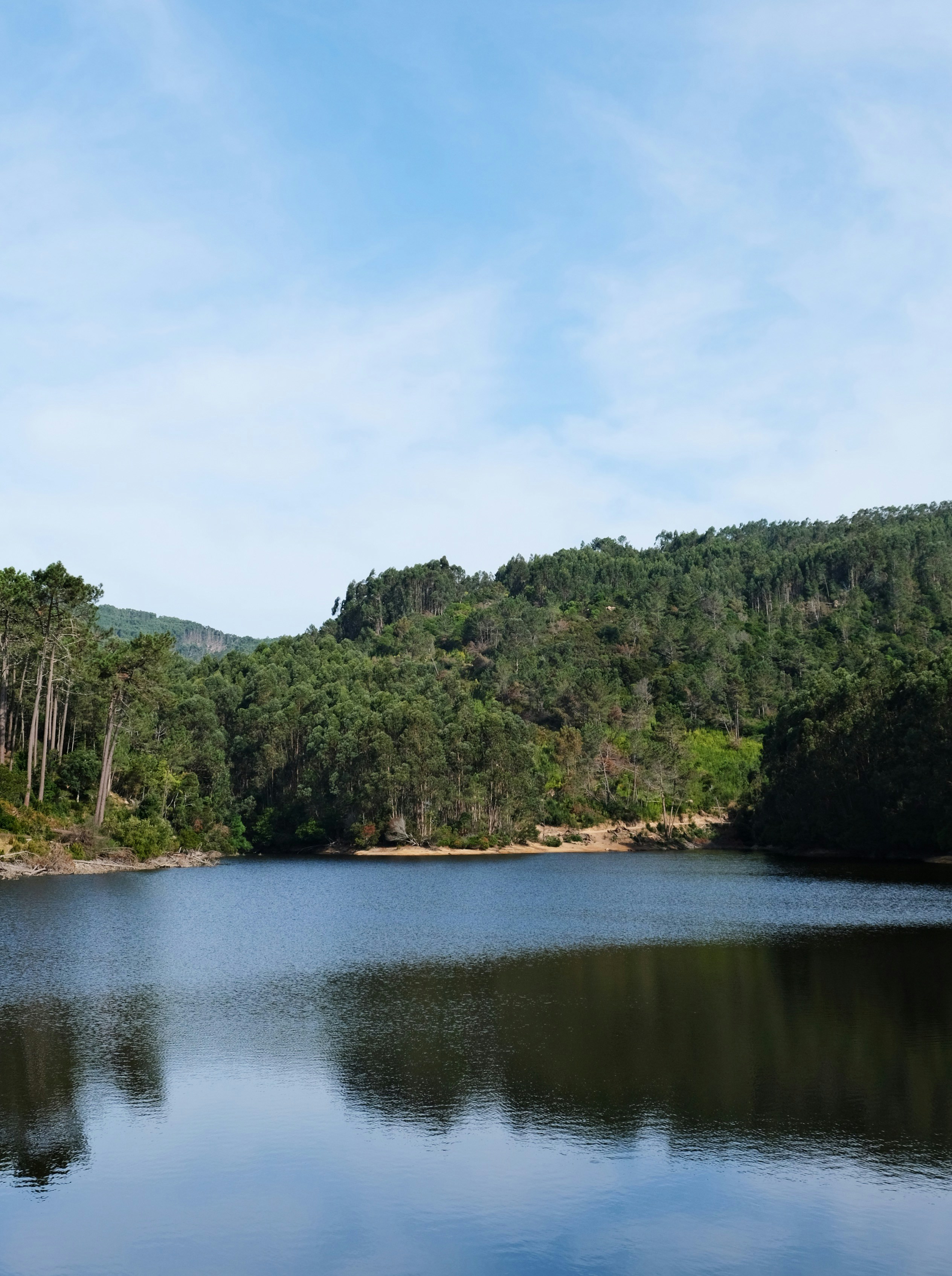 Photo by weylandswart