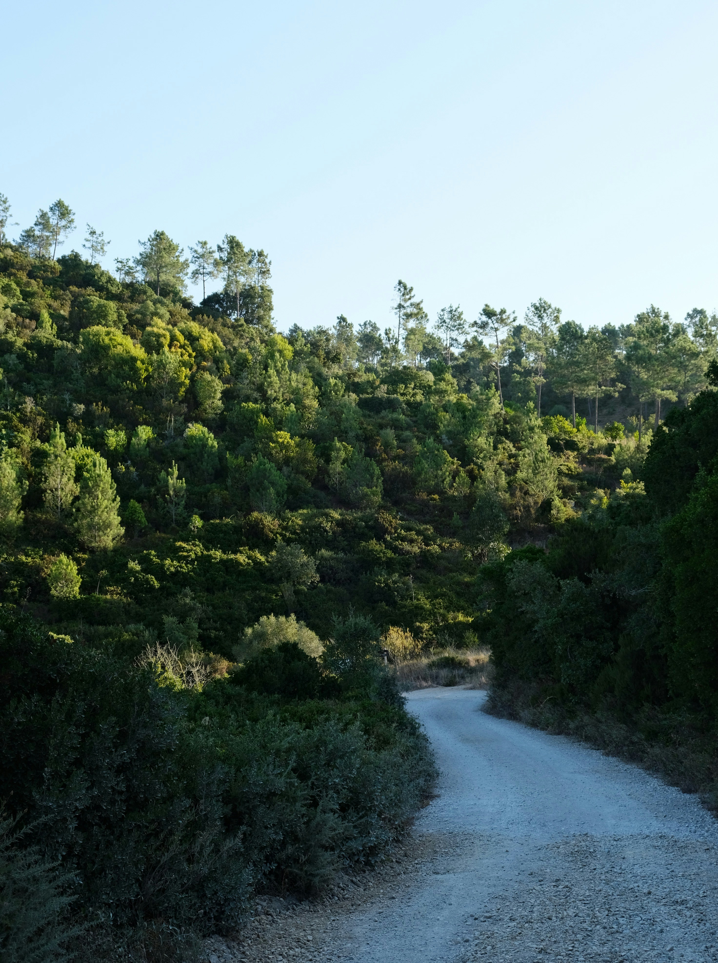 Photo by weylandswart