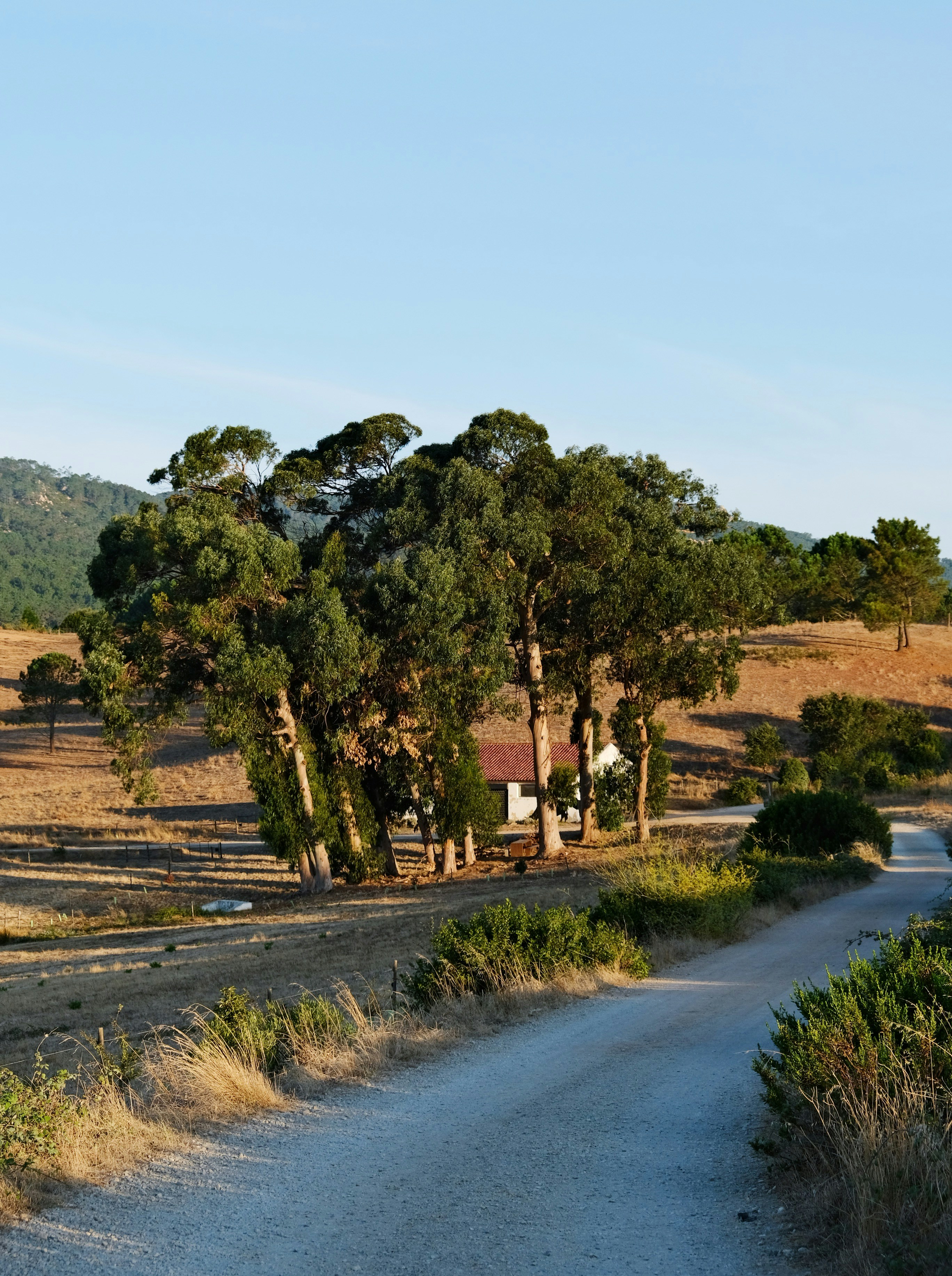 Photo by weylandswart