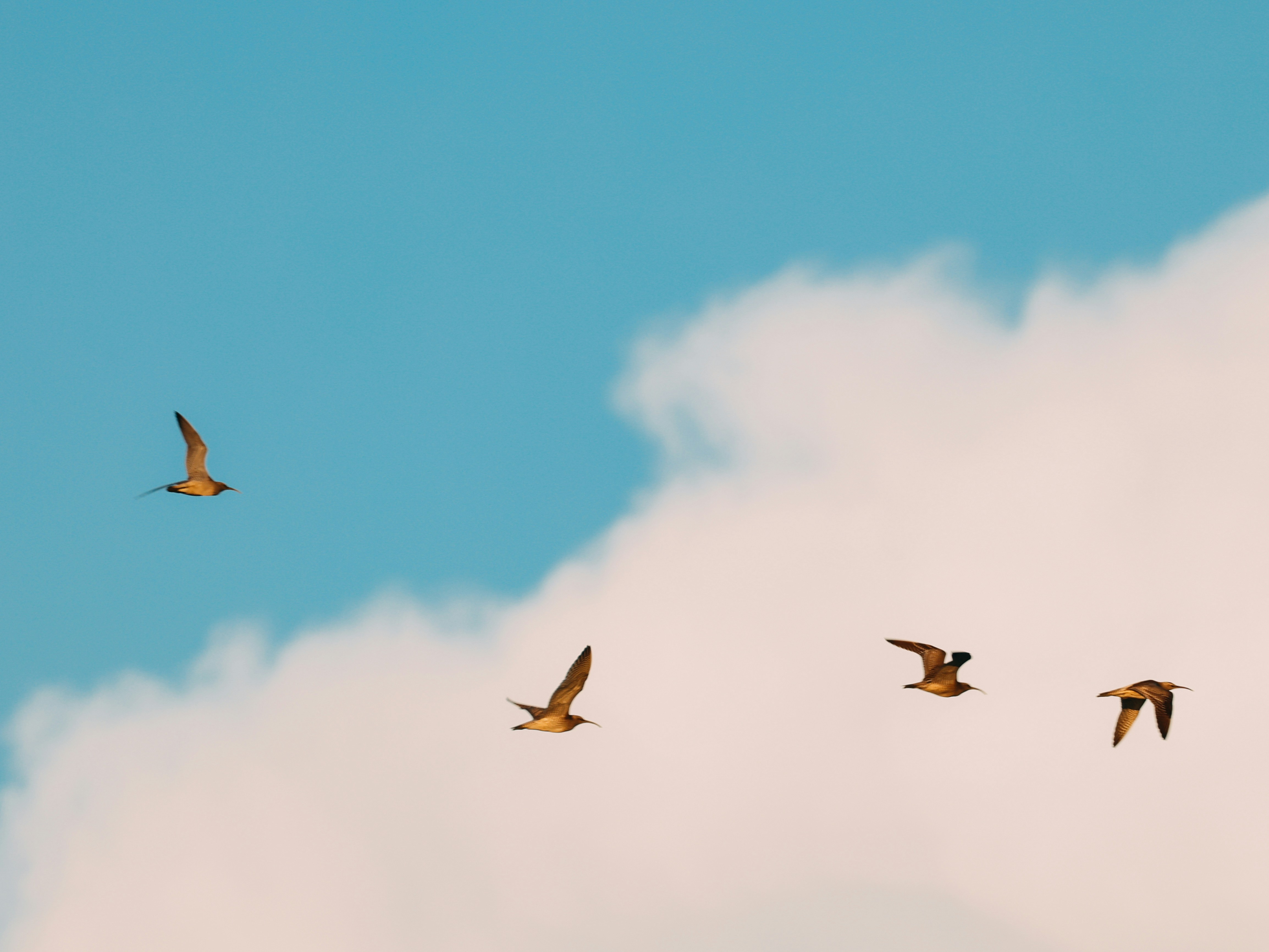 Photo by dickenslin76