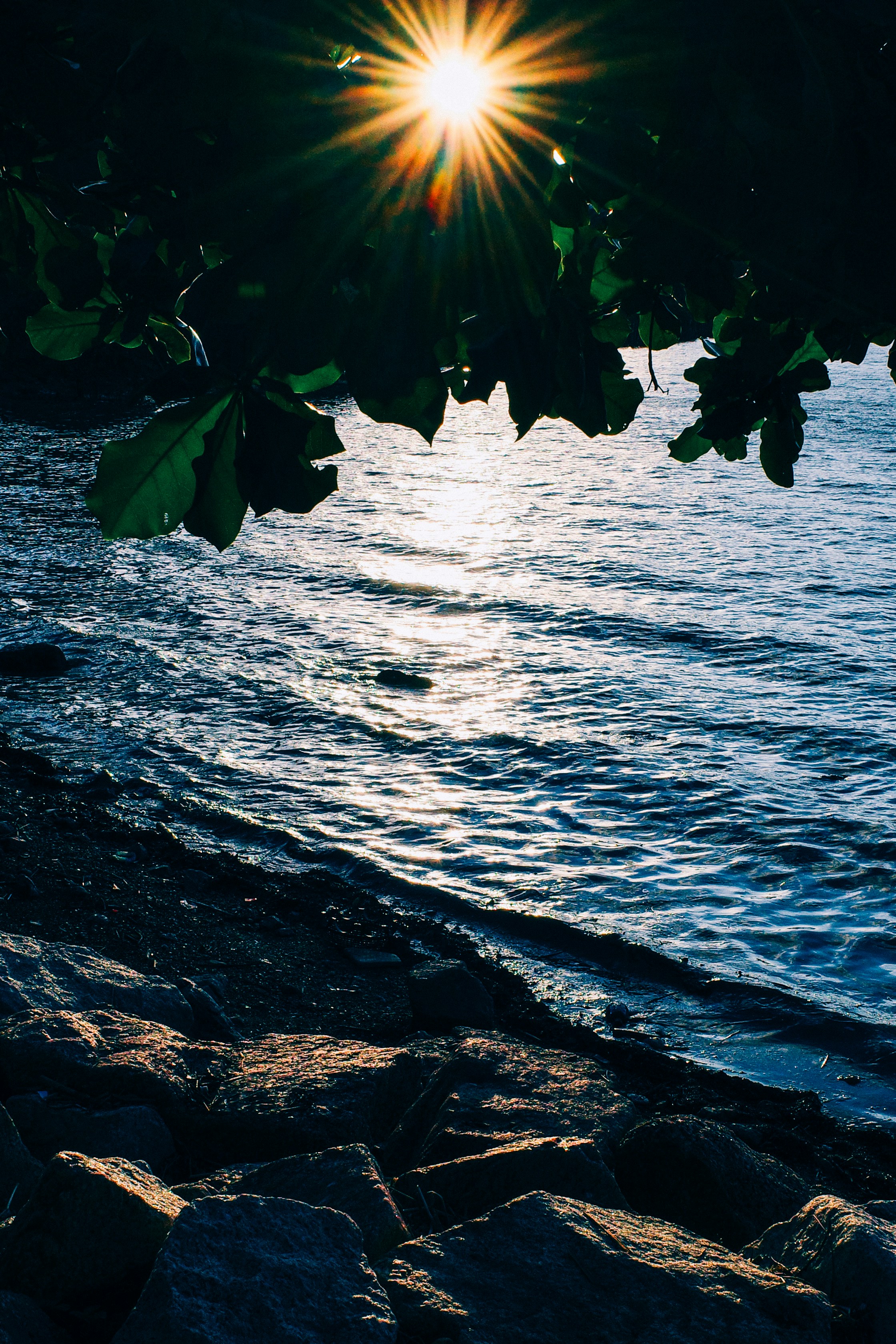 Photo by dickenslin76