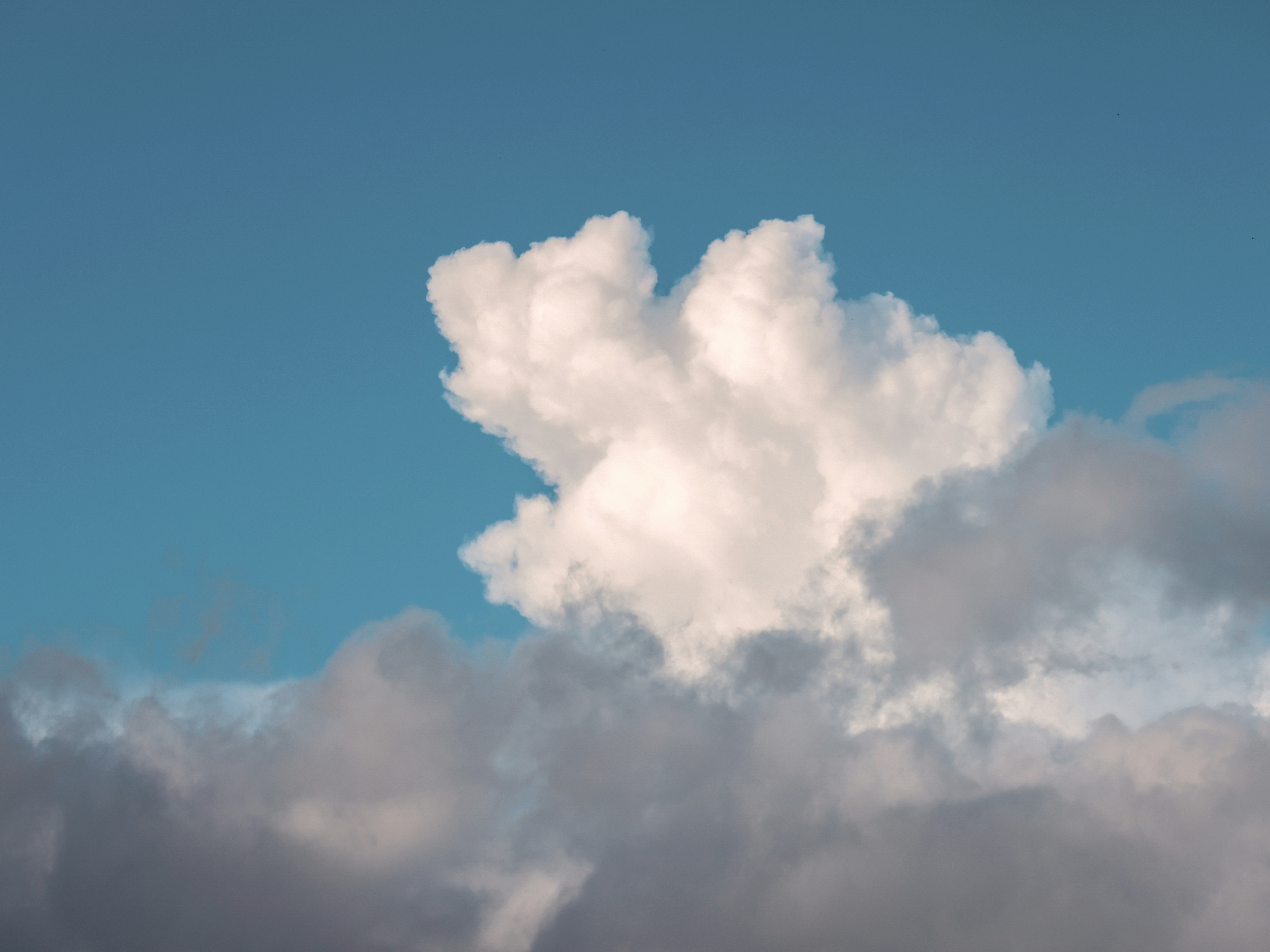 Photo by dickenslin76