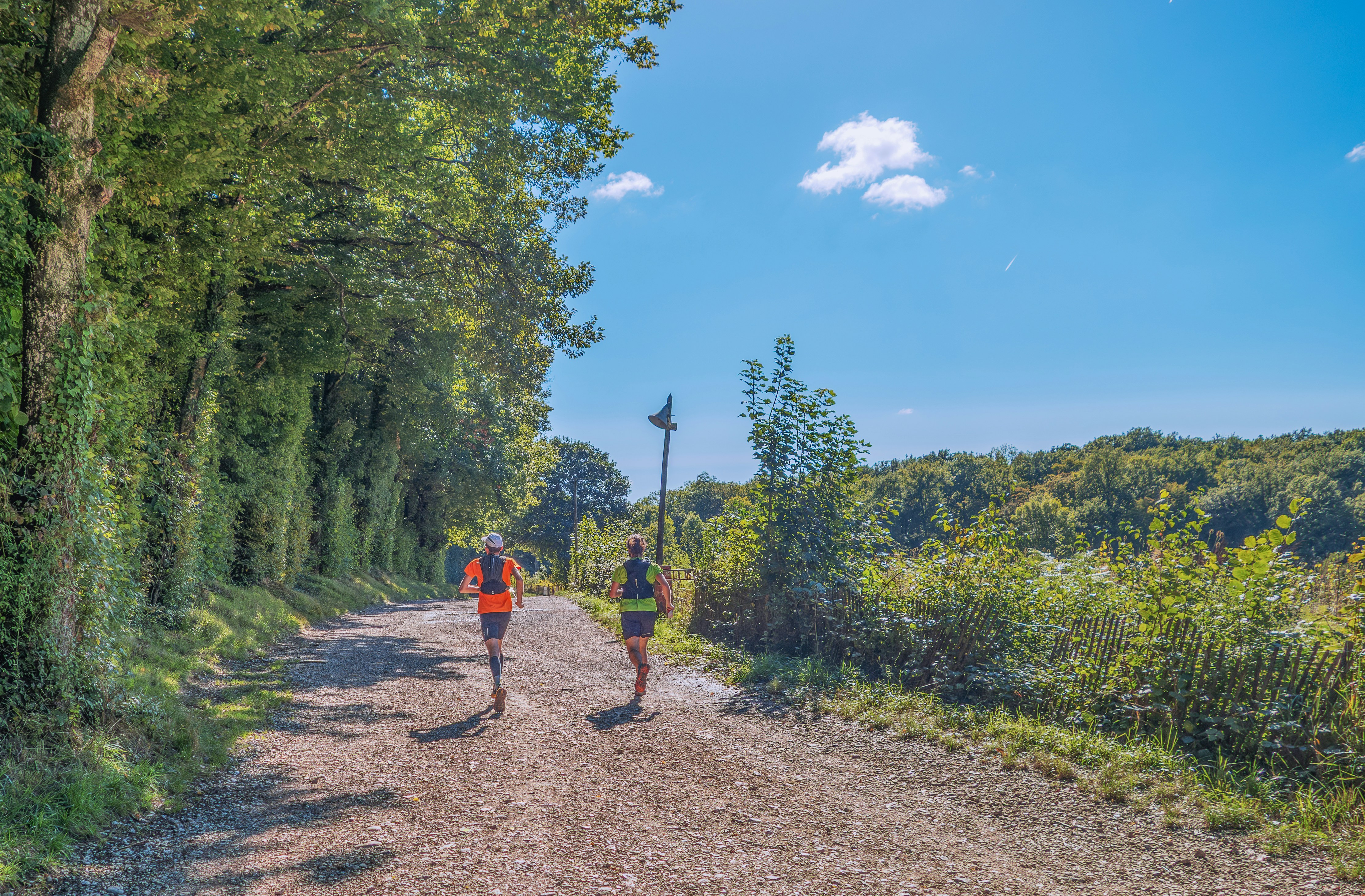Two runners on a path through trees
