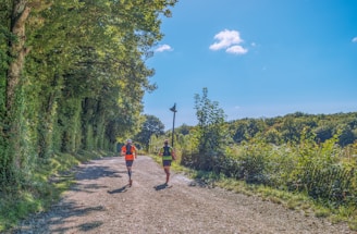Two runners on a path through trees