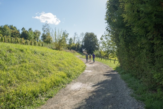 Three people walk on a gravel path through fields.