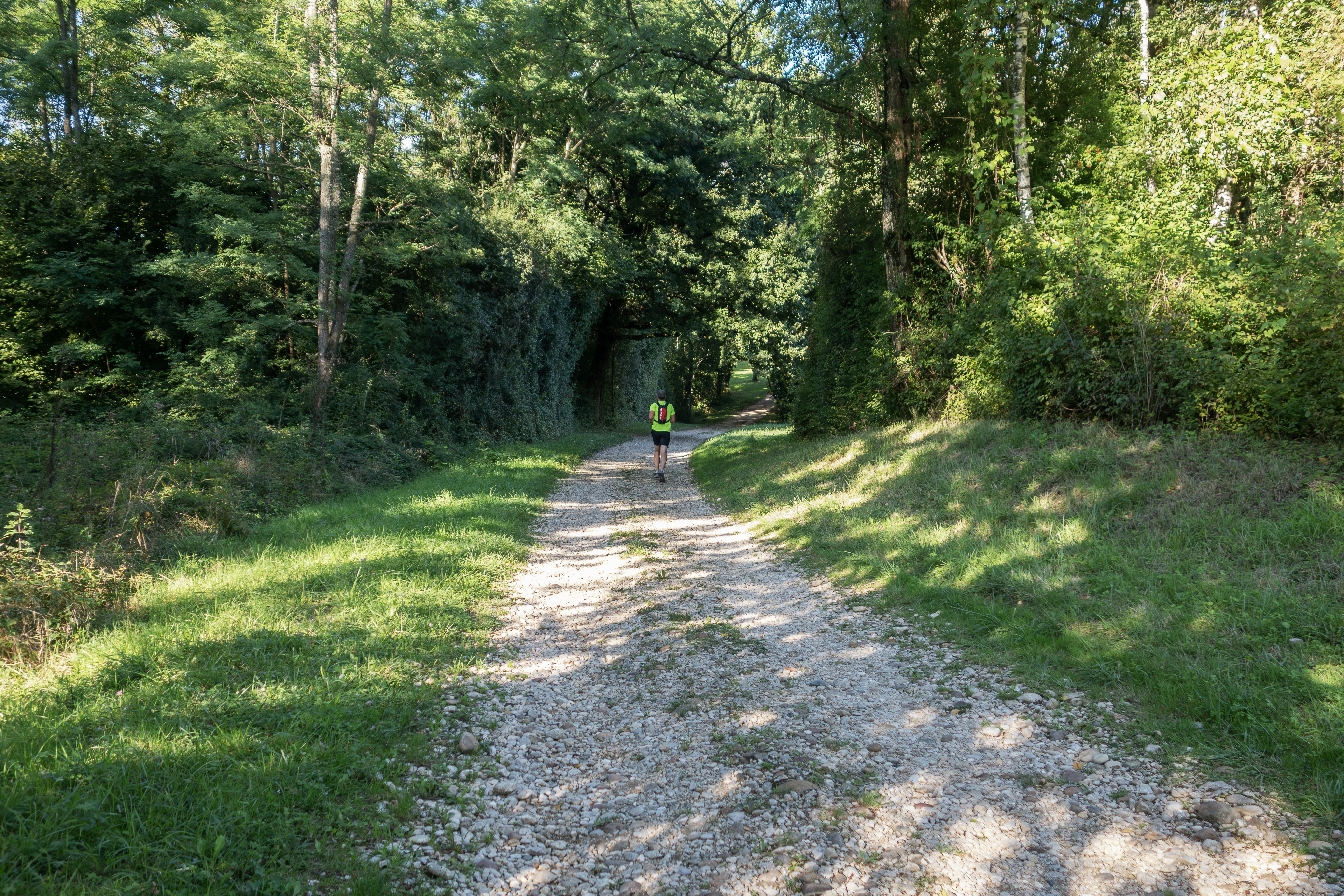 A person runs on a gravel path through a forest.