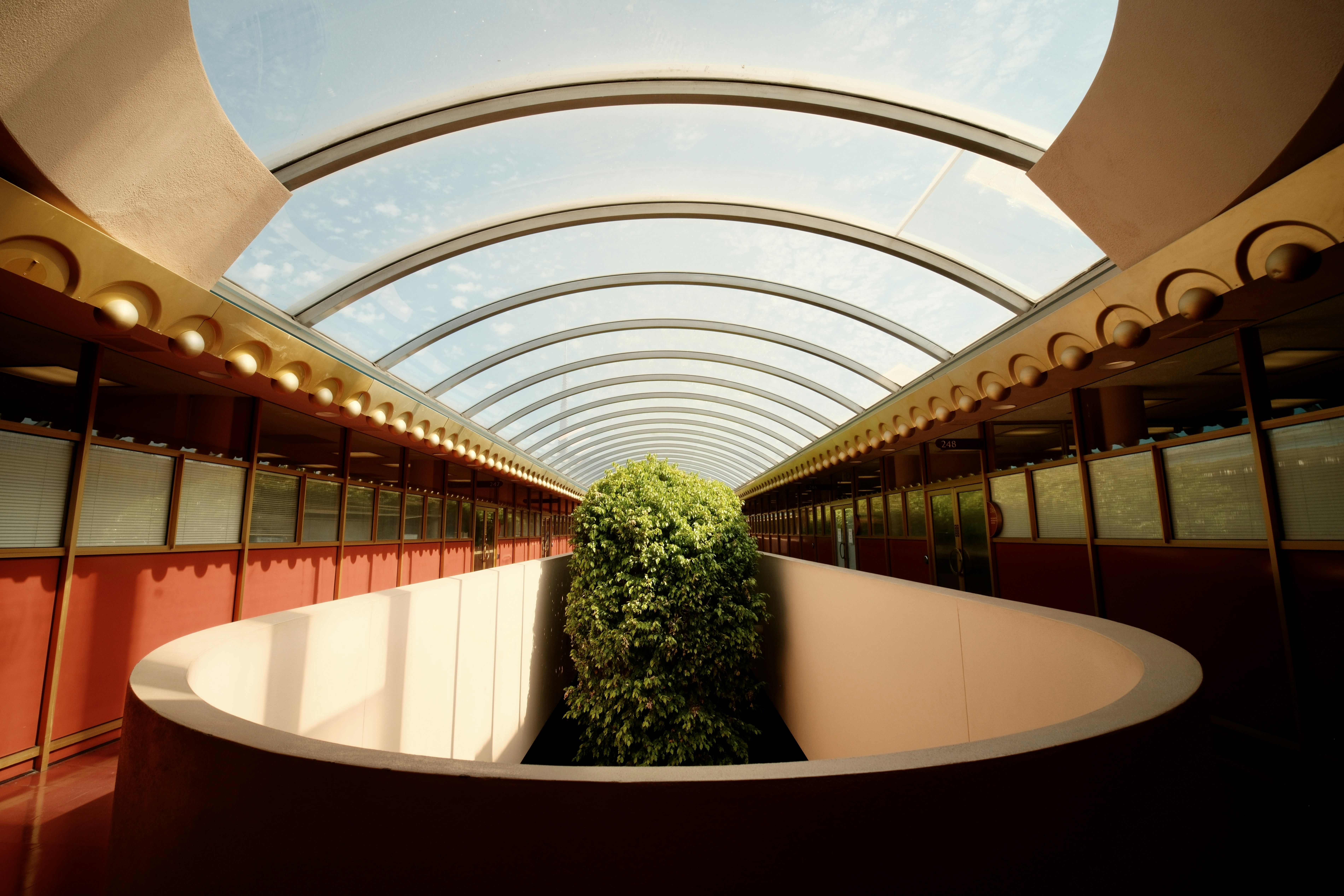 Modern hallway with a central atrium and skylight