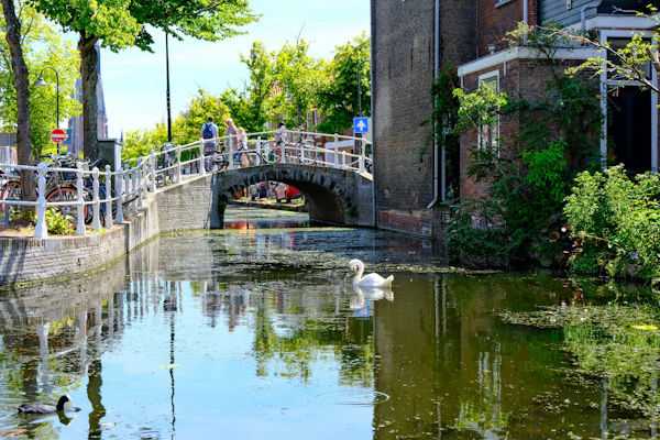 Delft