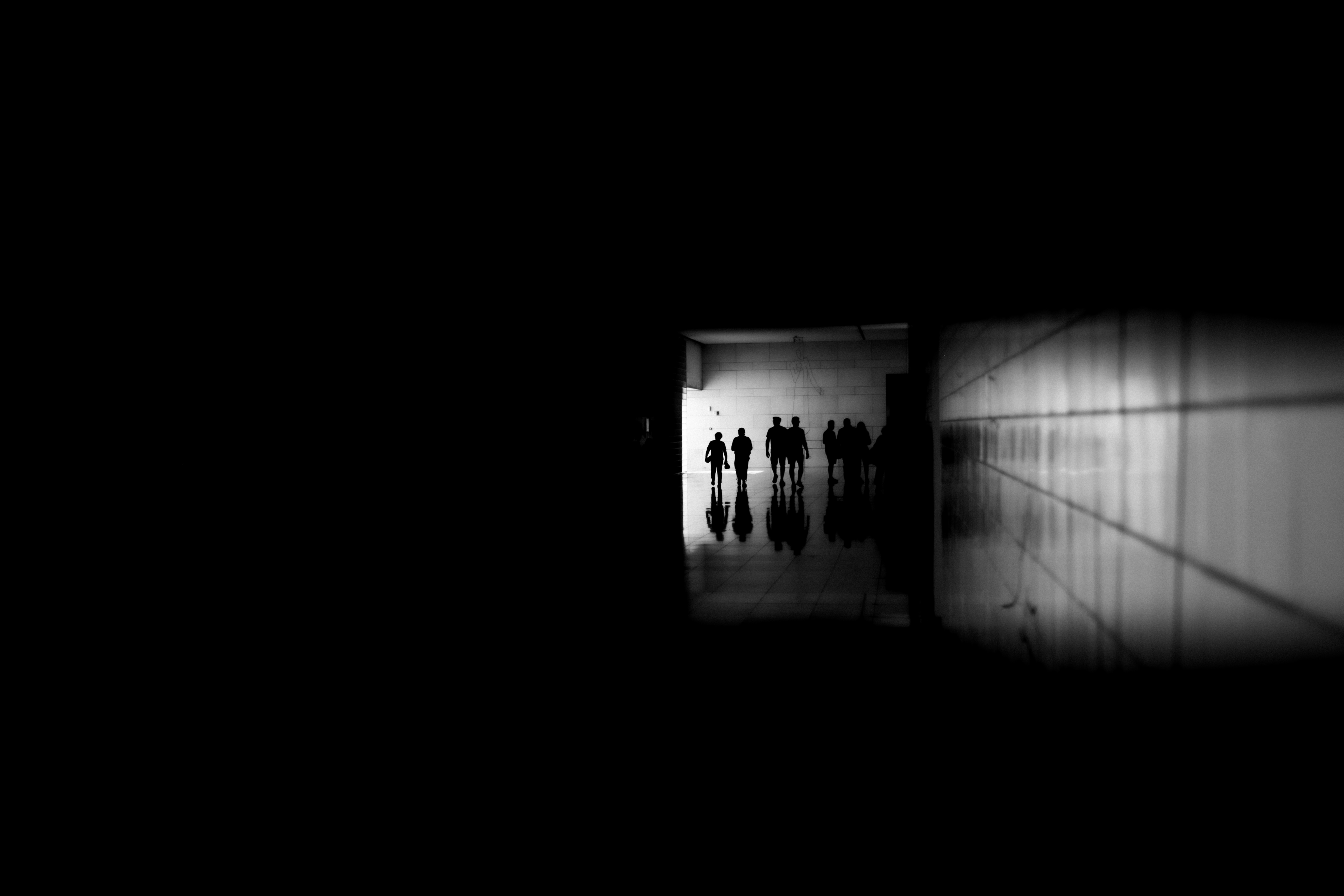 Mus i veggen? Slik tar du bort du for godt