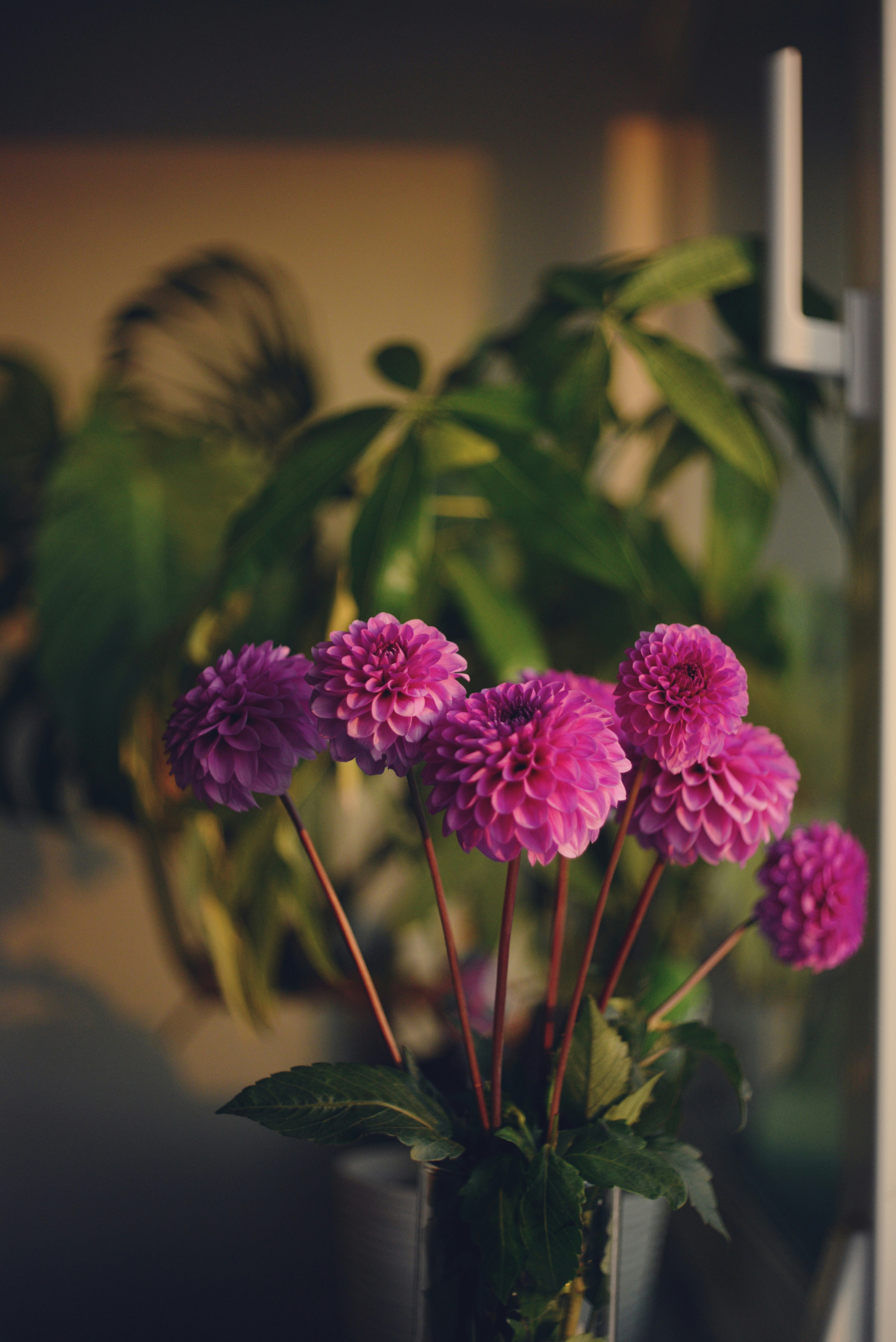 Photo by cherstve_pechivo