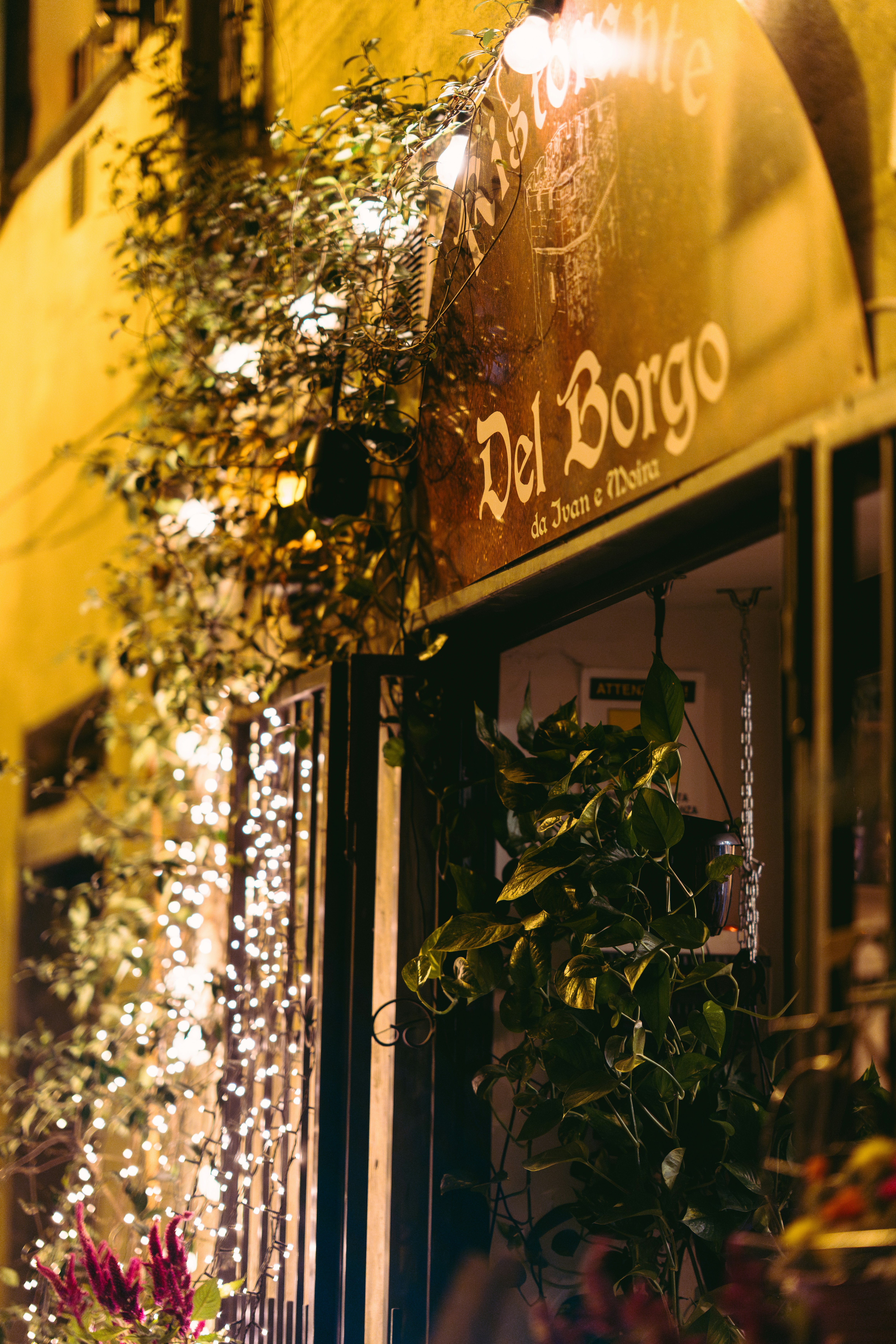 Restaurant entrance decorated with lights and plants