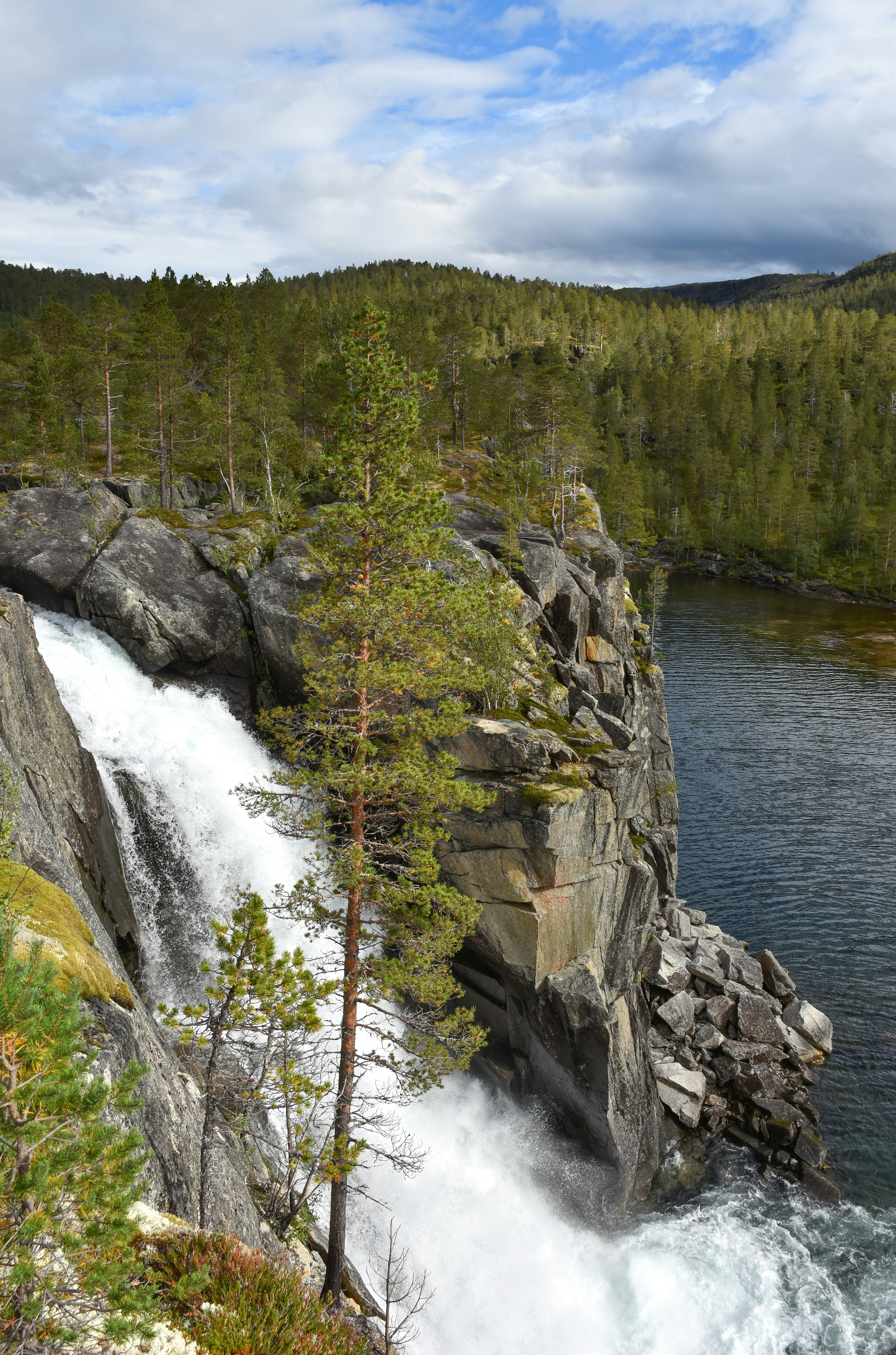 Photo by niklasjonasson