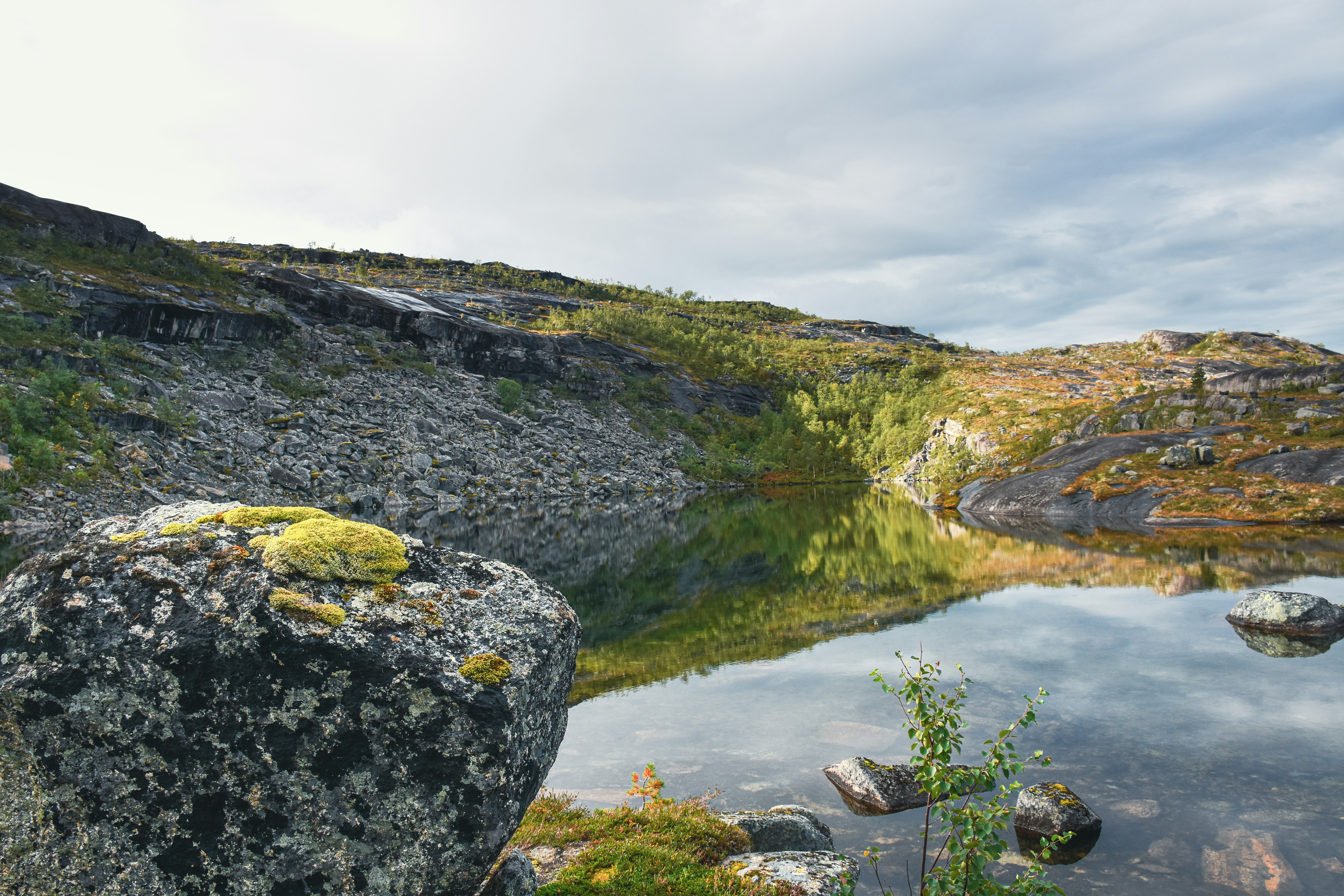 Photo by niklasjonasson