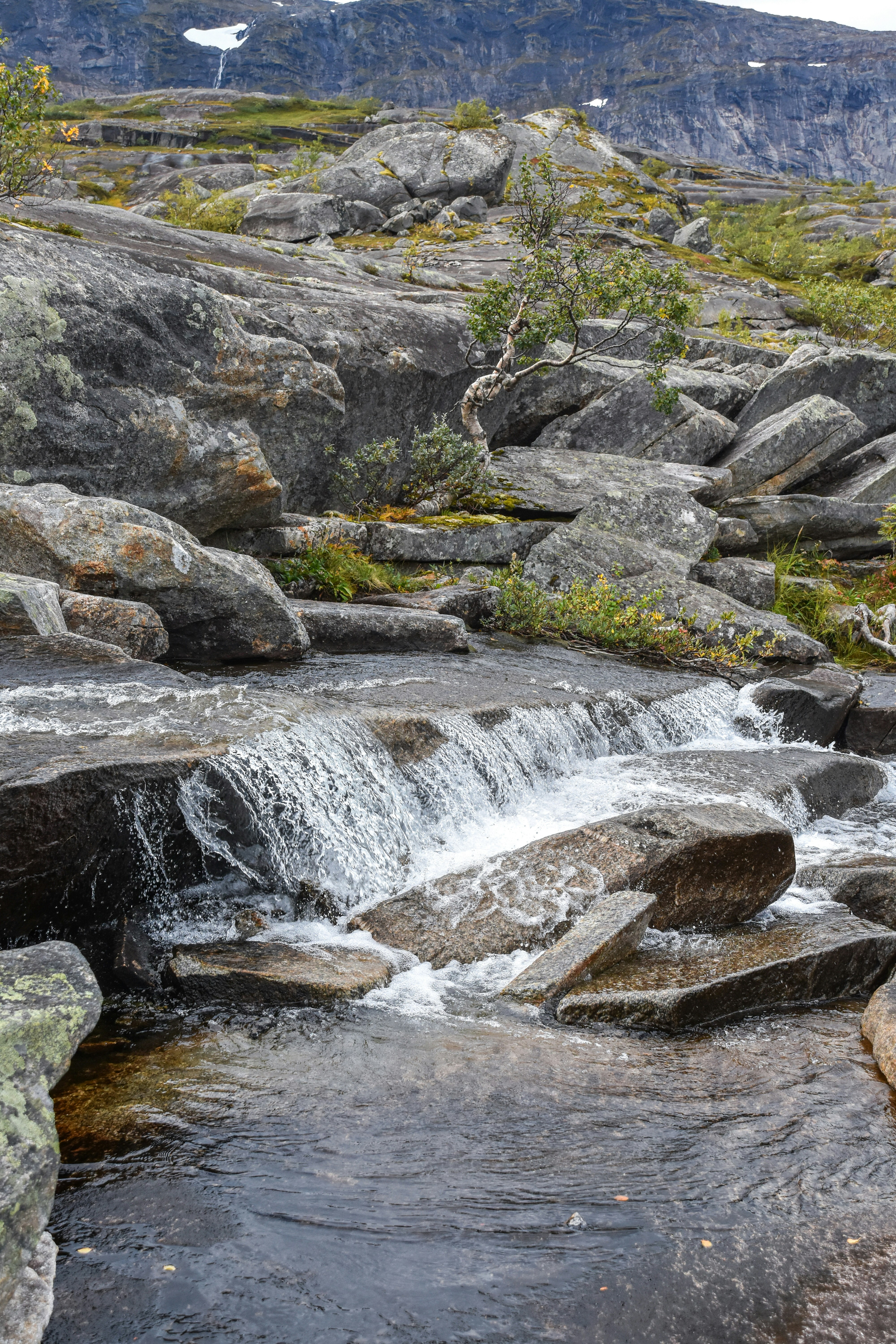 Photo by niklasjonasson