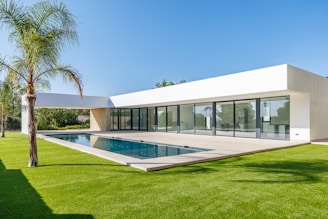 Modern white house with swimming pool and palm tree