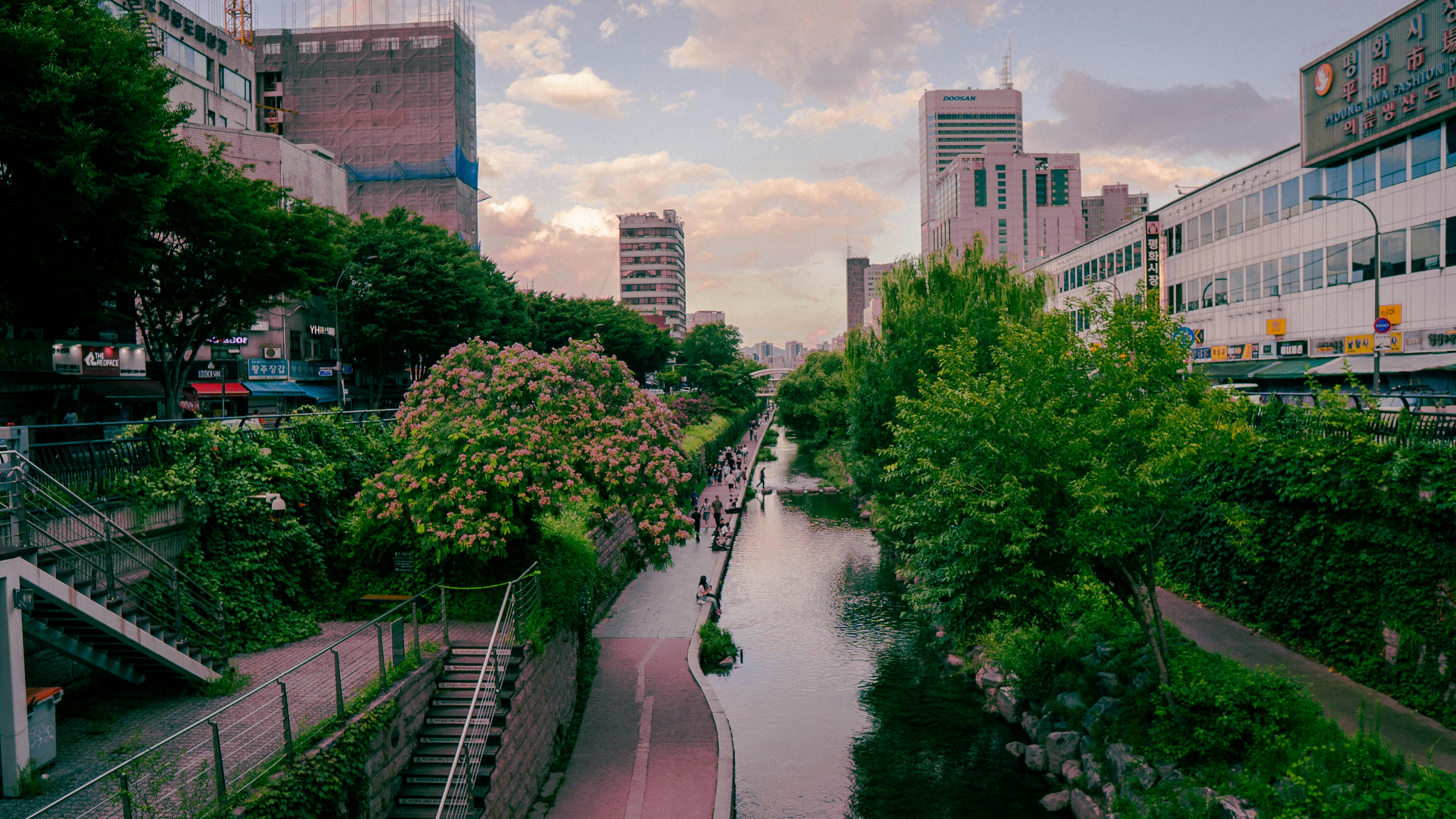 Canal path with trees and city buildings