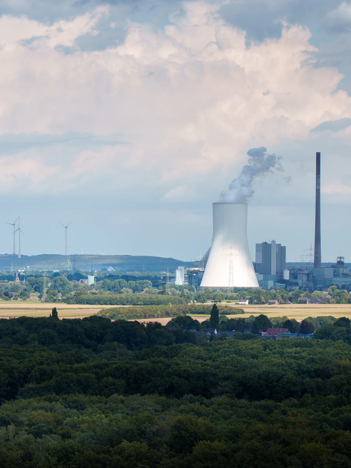 Mitarbeiter im temperaturgeführten Lager