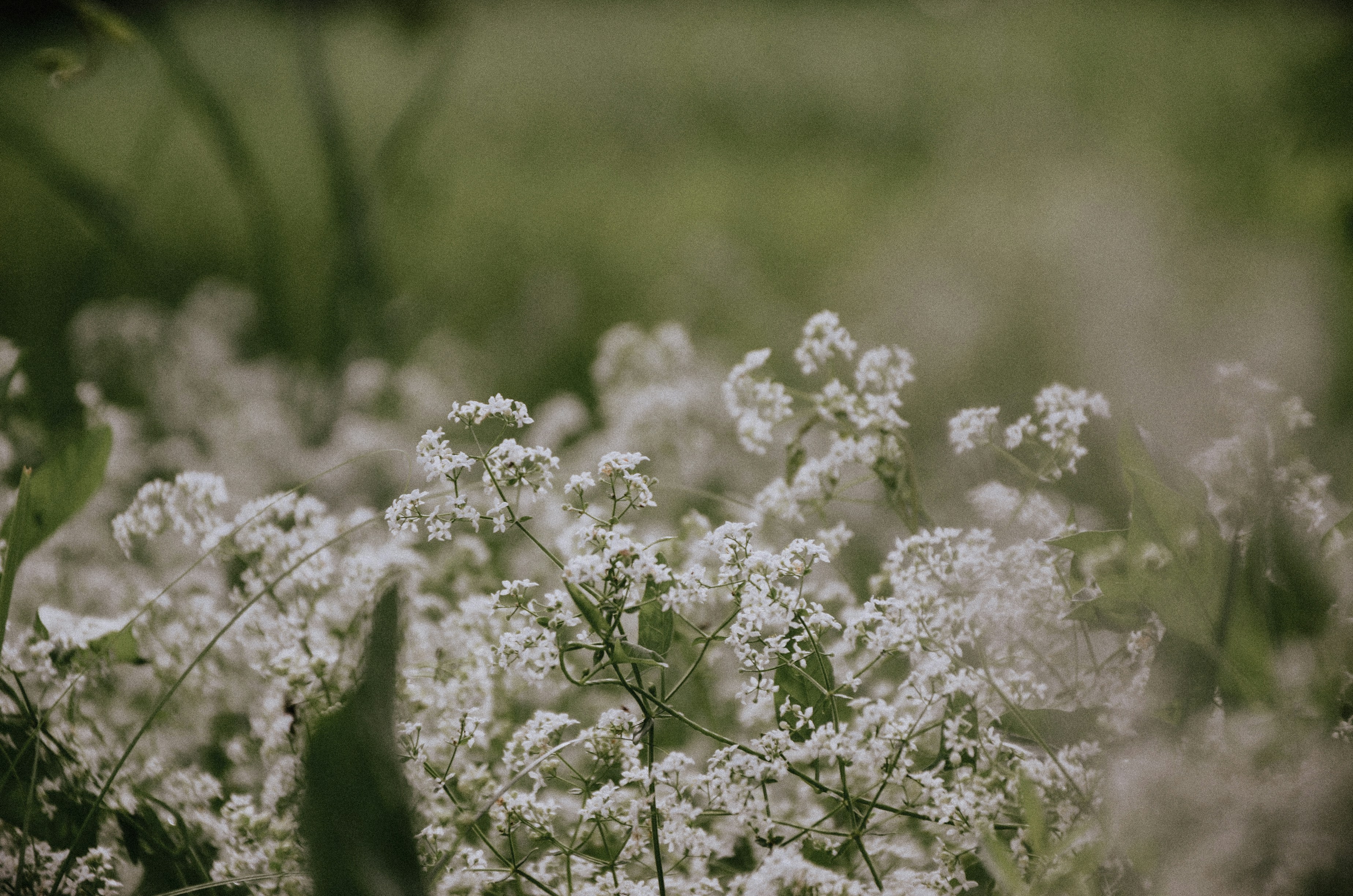 Photo by anya_nuta_anuta10