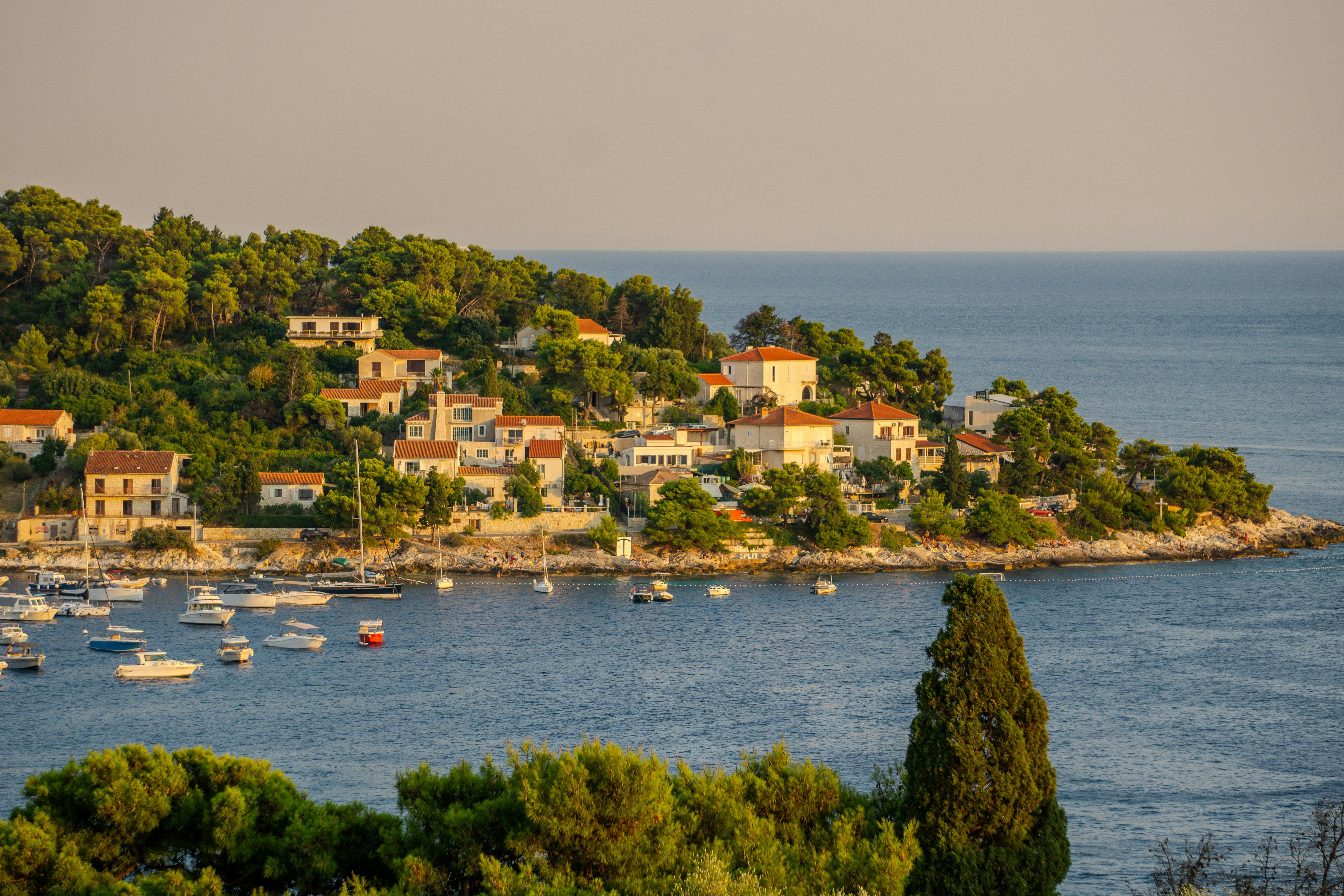 Photo by alexingraham