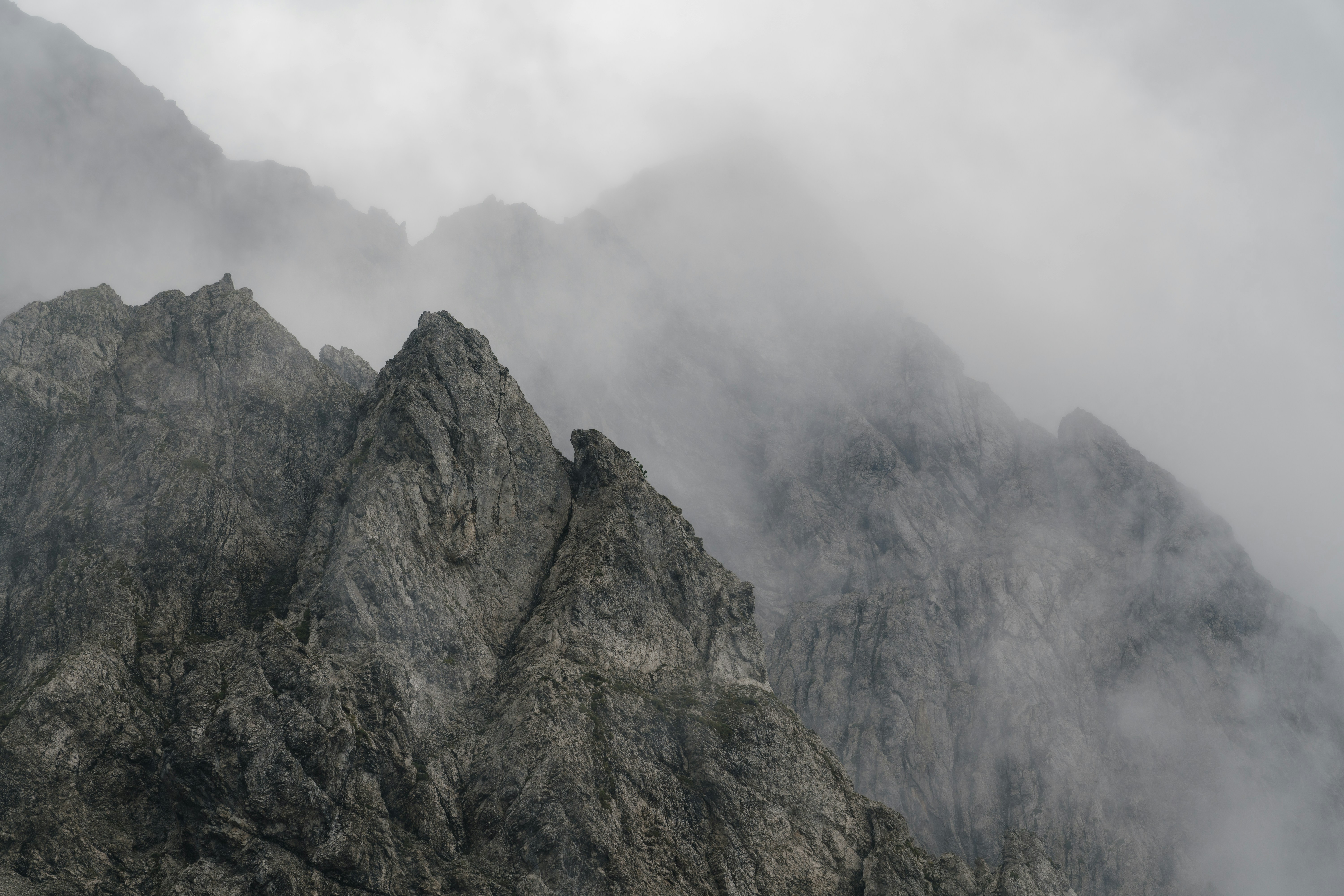 Photo by danielsessler