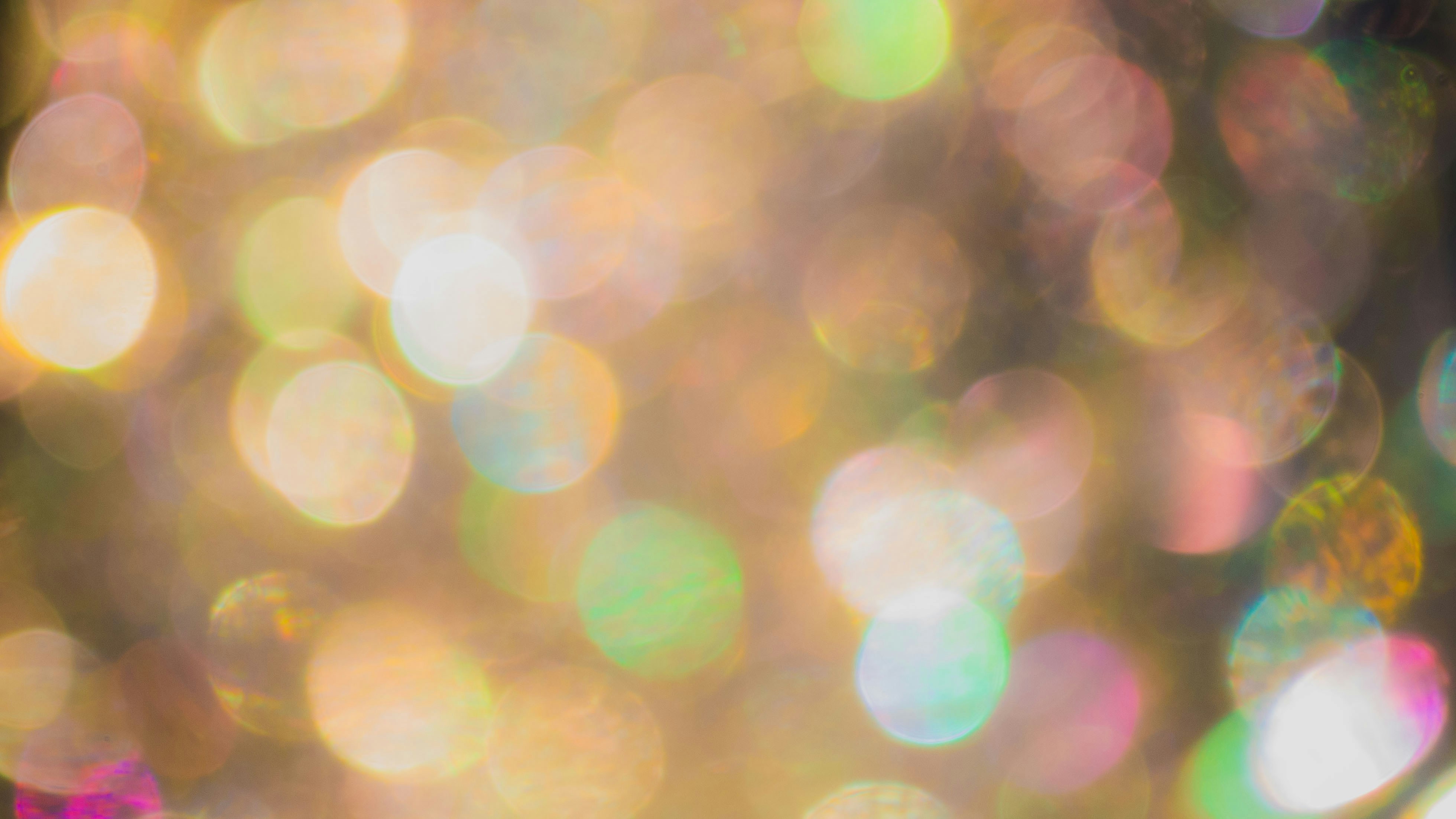 Photo by dmytro_yarish