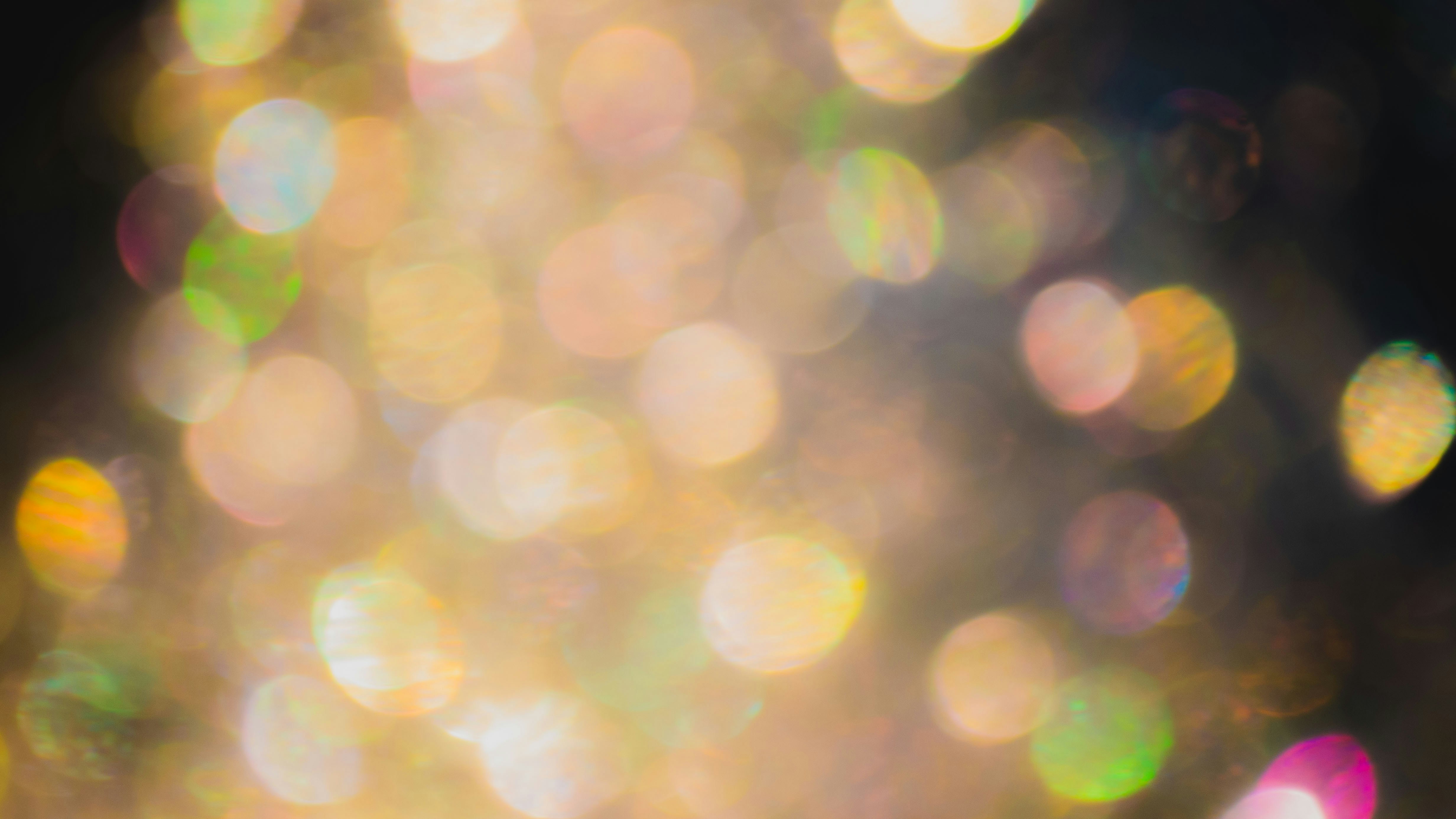 Photo by dmytro_yarish