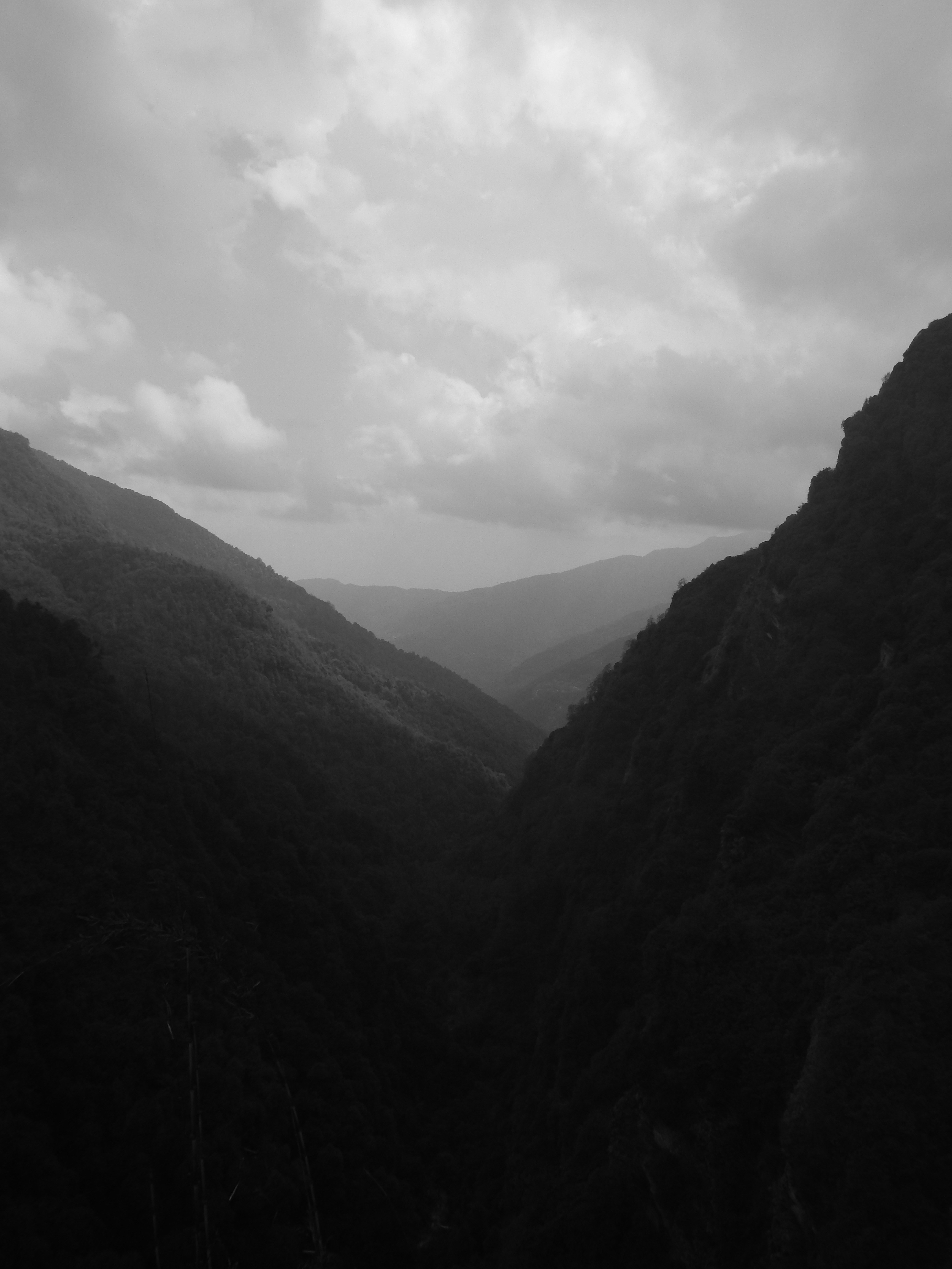 Photo by willemijnvanderweijst