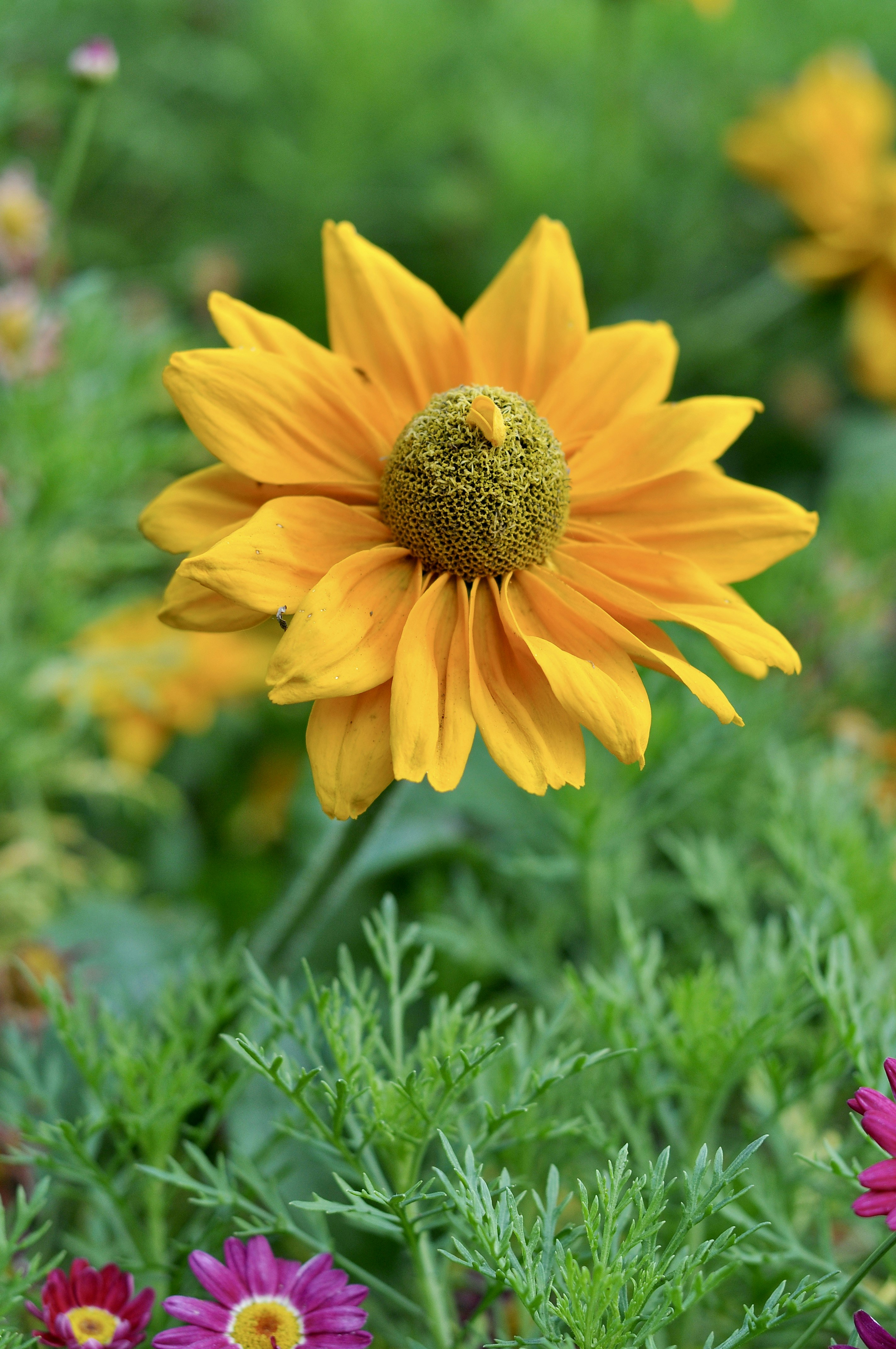 Photo by cameramandan83