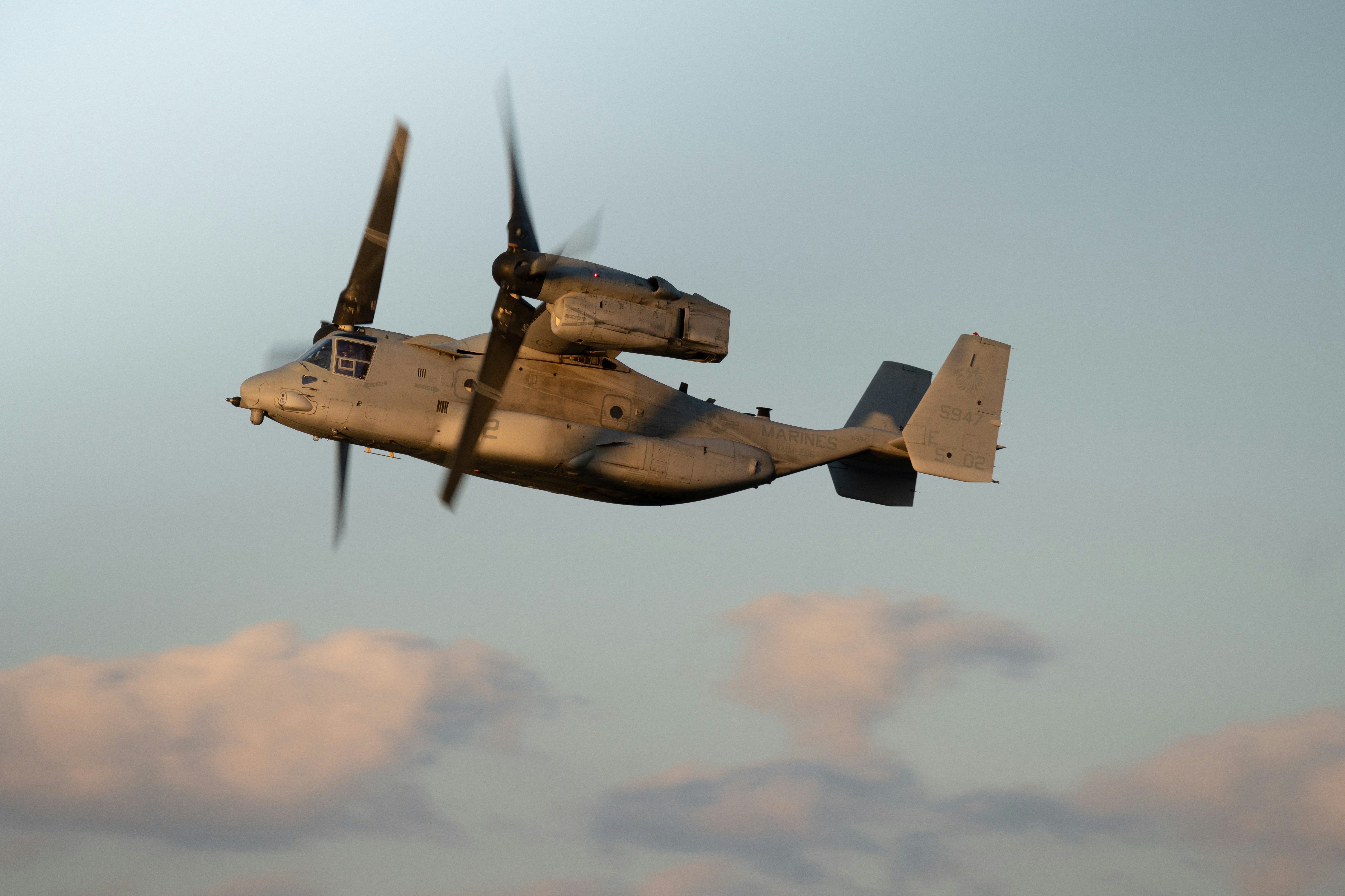 Photo by zackotto126