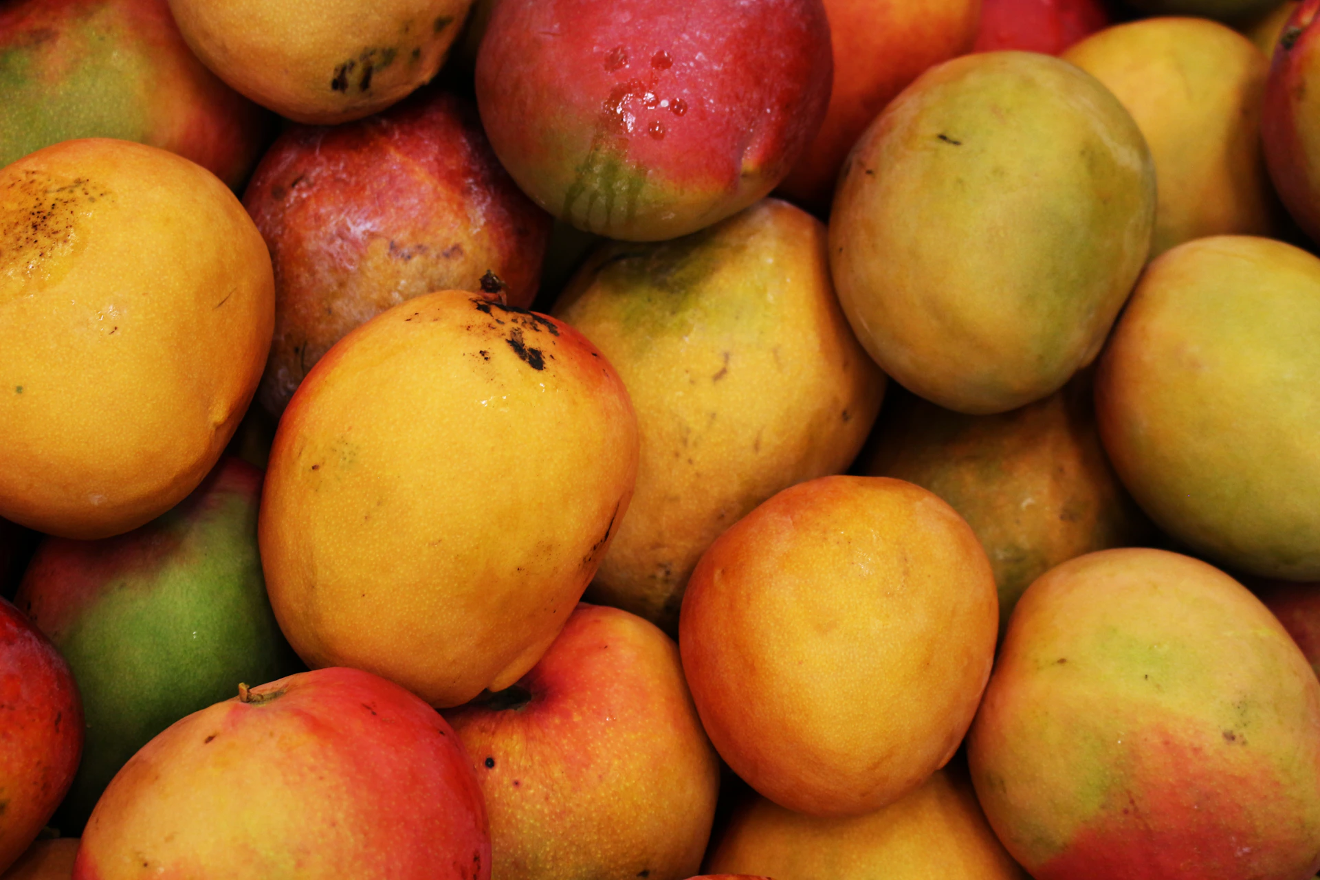 A pile of ripe, colorful mangoes