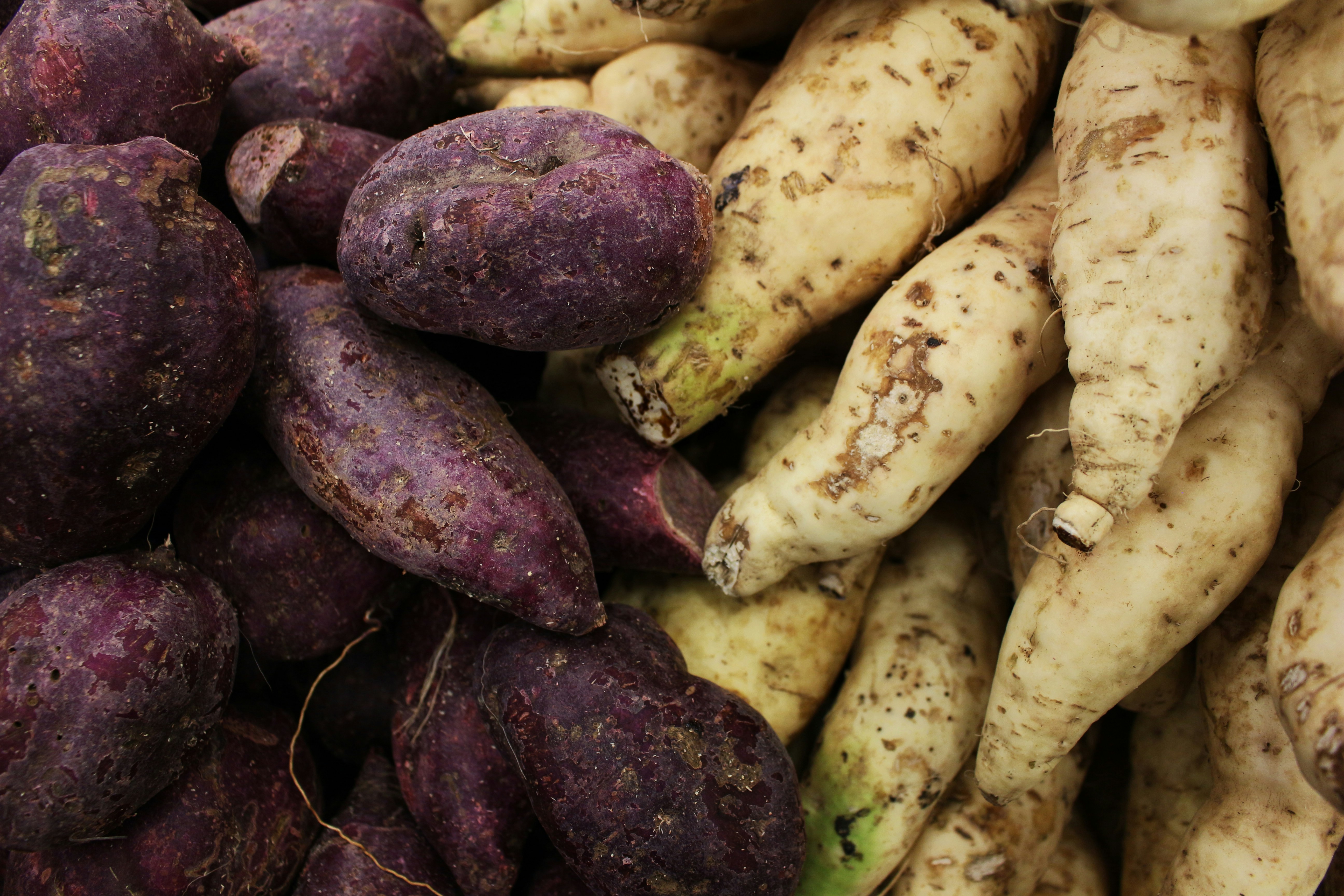 Pila de batatas moradas y blancas