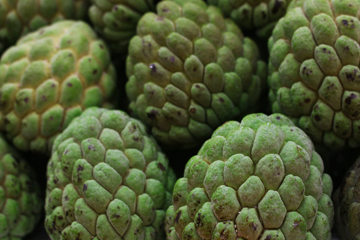 Custard Apple Pulp