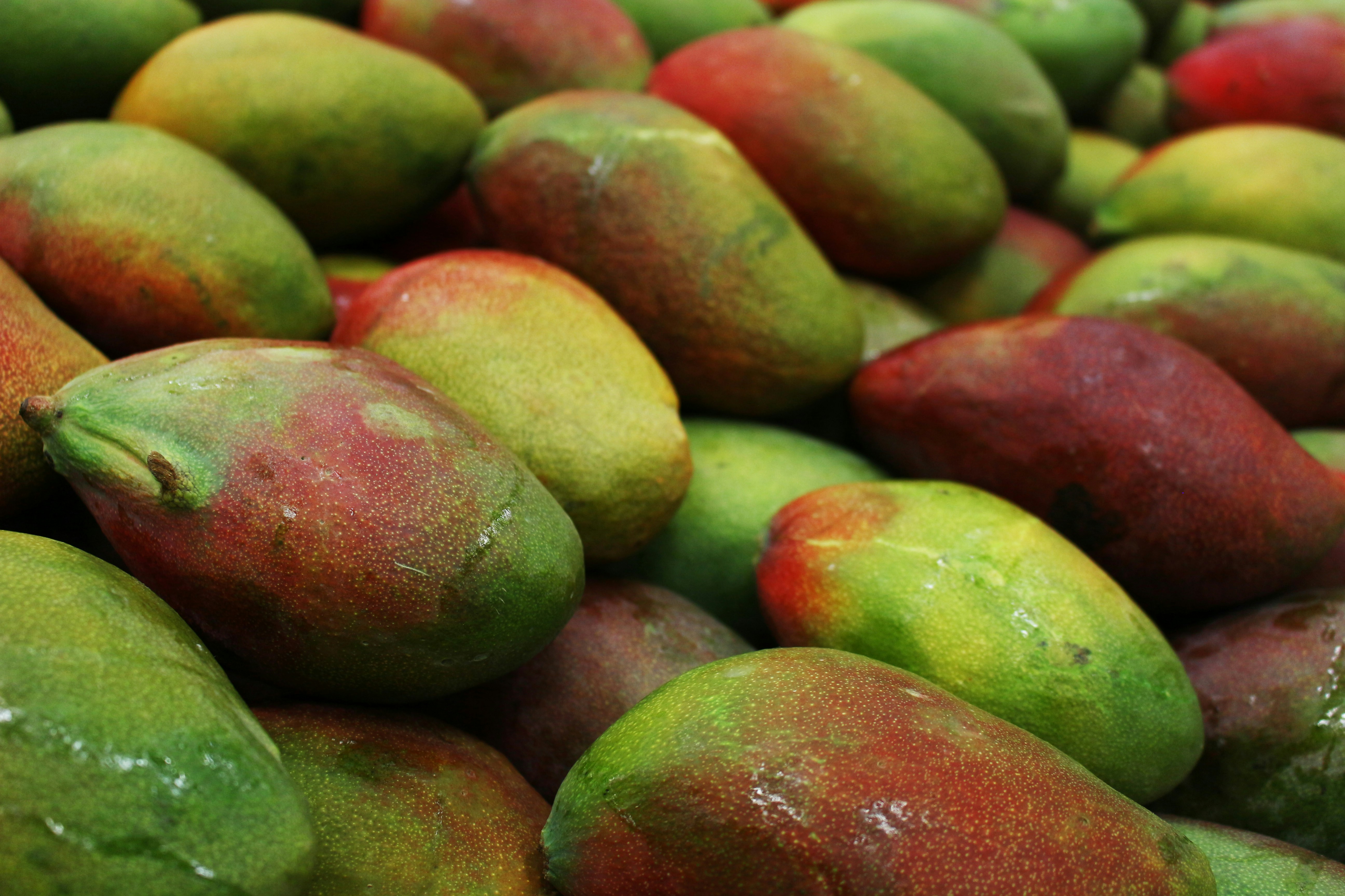 Photo by outsideclick