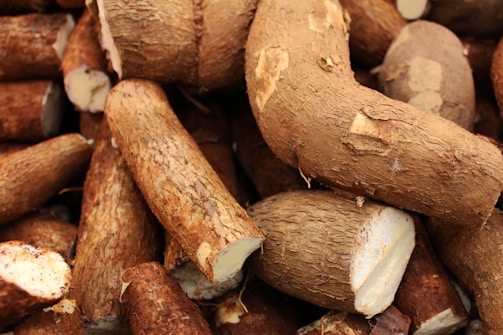 Pile of freshly harvested cassava roots