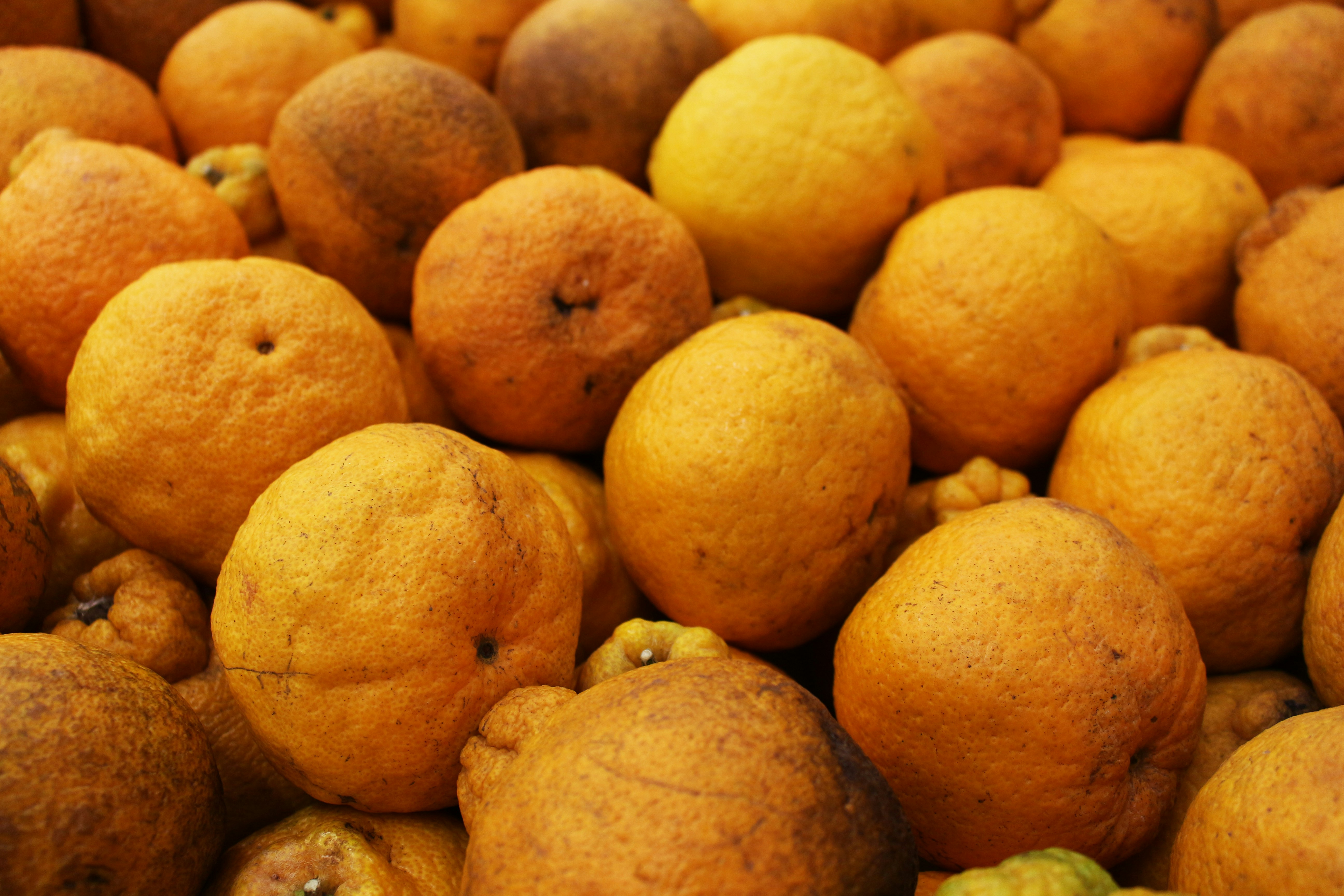 Photo by outsideclick