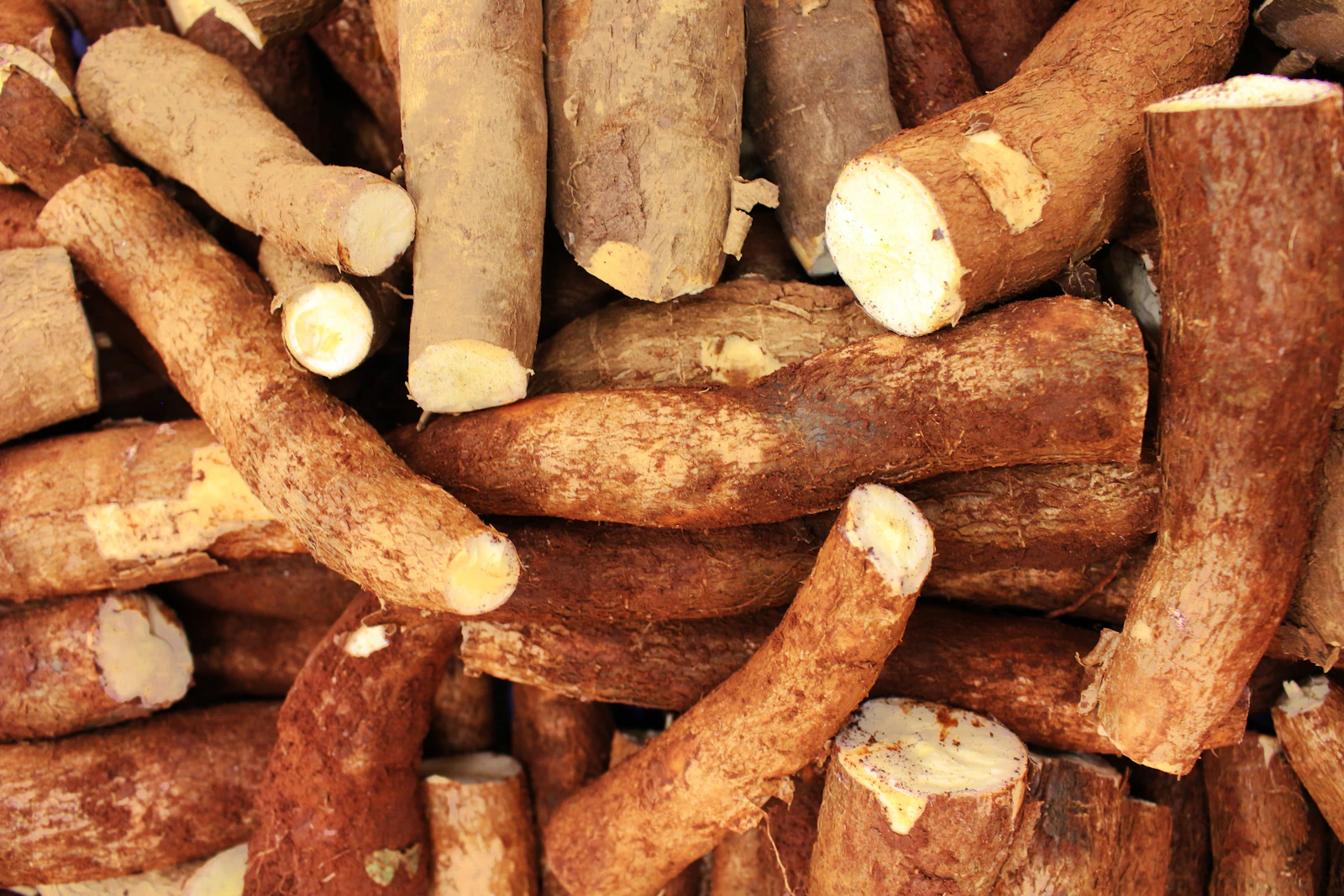 Safou braisé et manioc