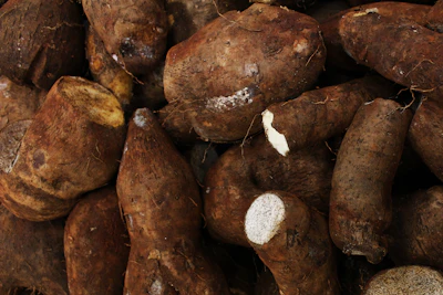 Wild Yam