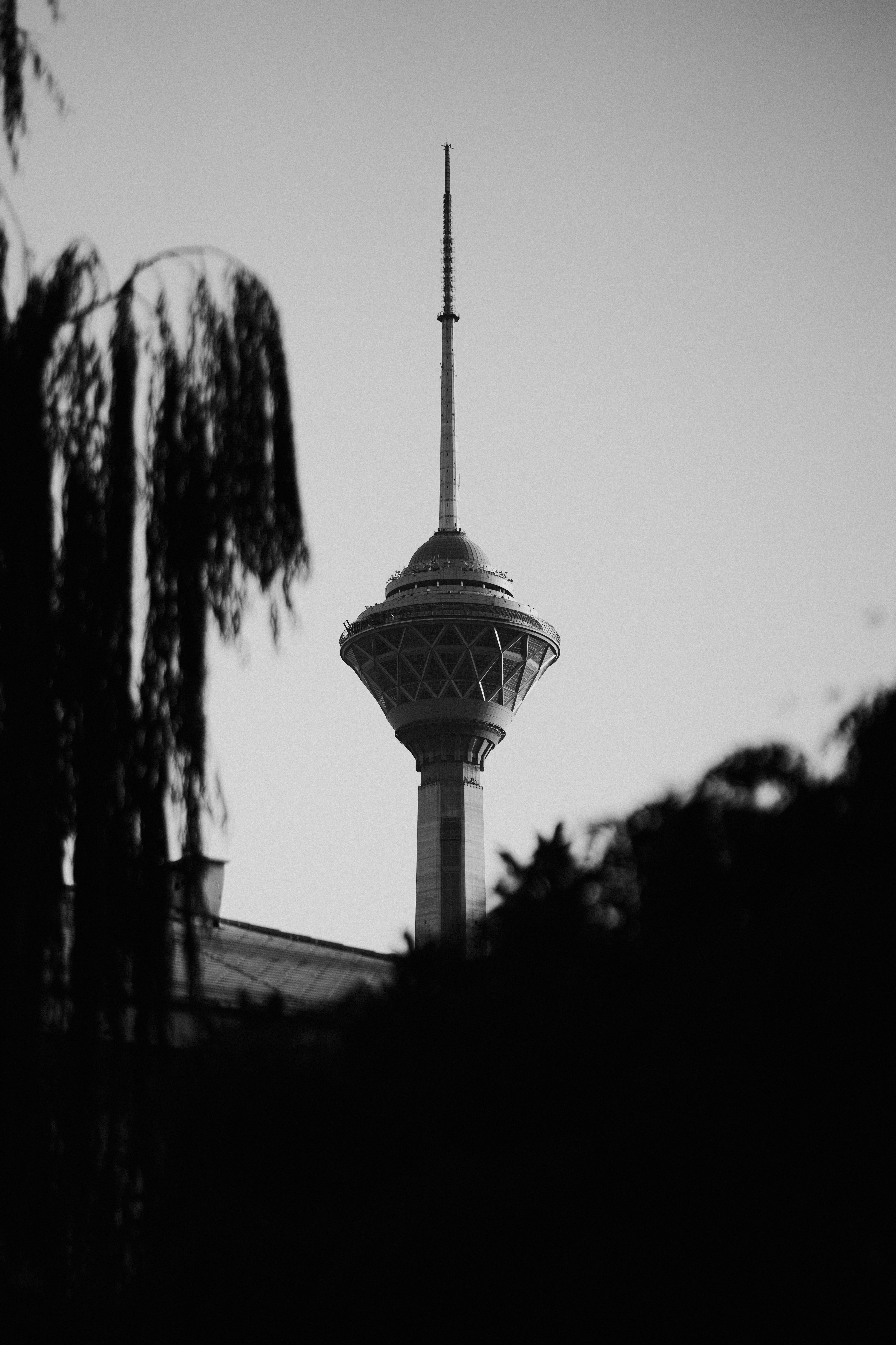 Statistics for reading Japanese