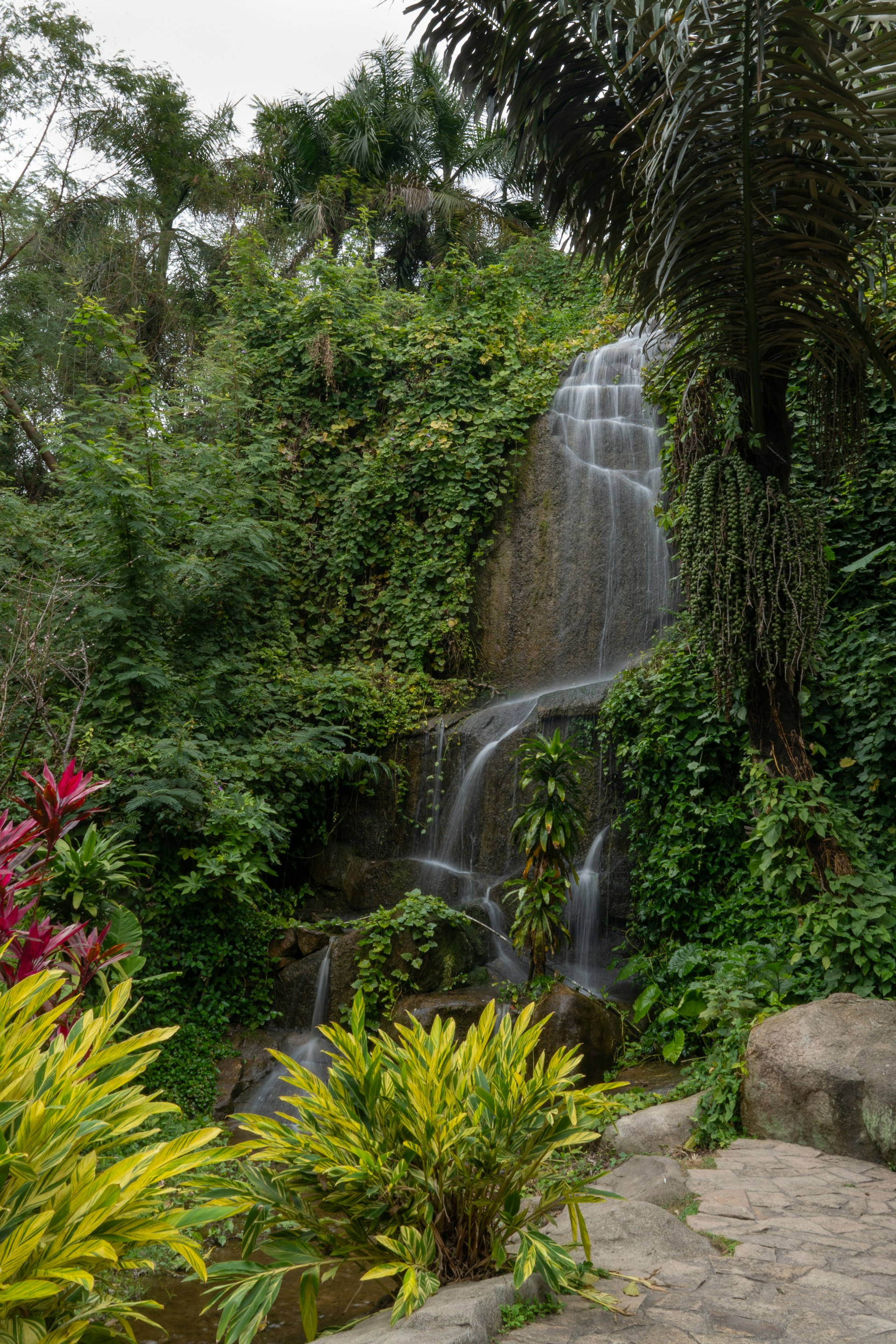 A lush waterfall cascades down a rocky incline surrounded by dense greenery.