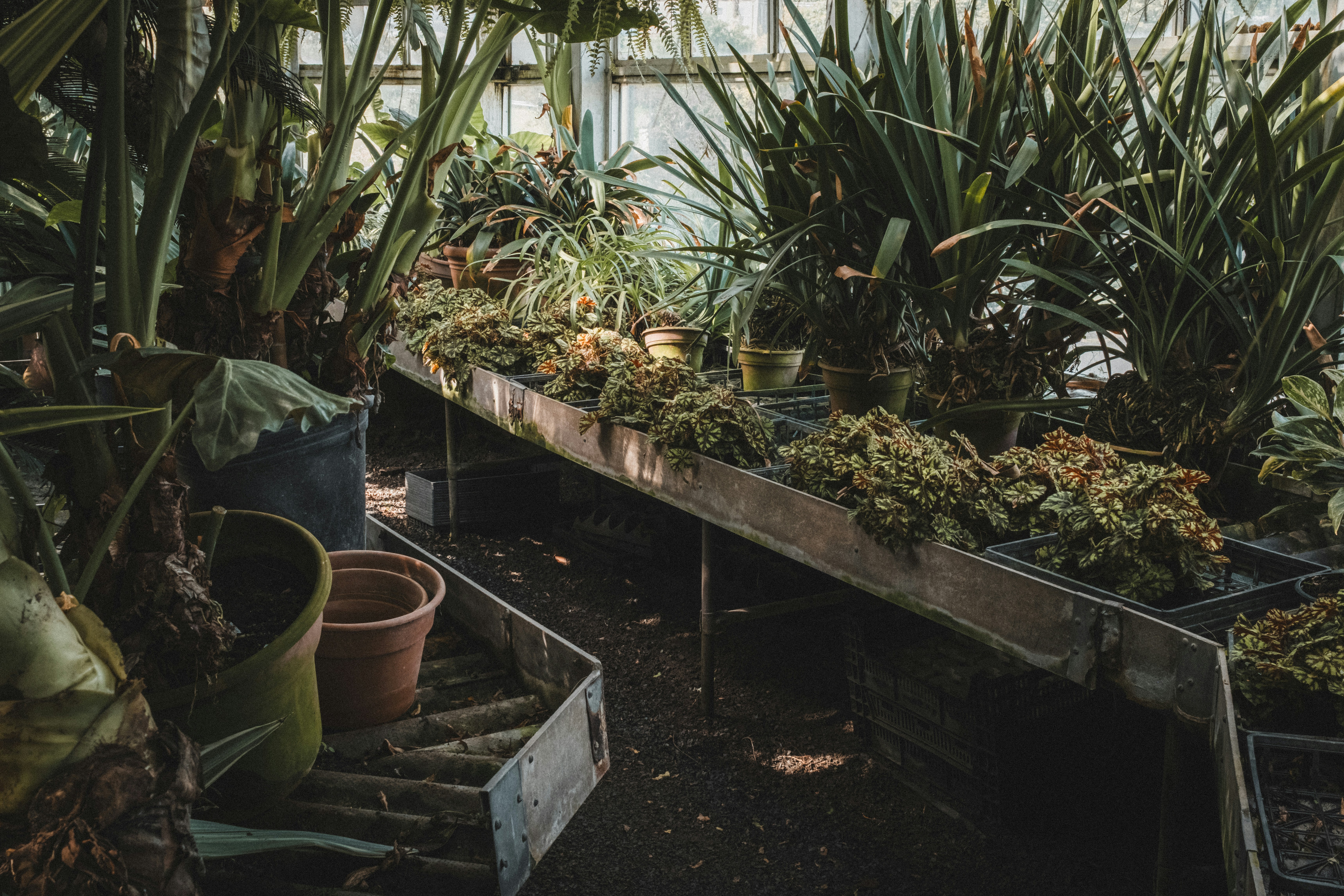 Photo by peterbbryan