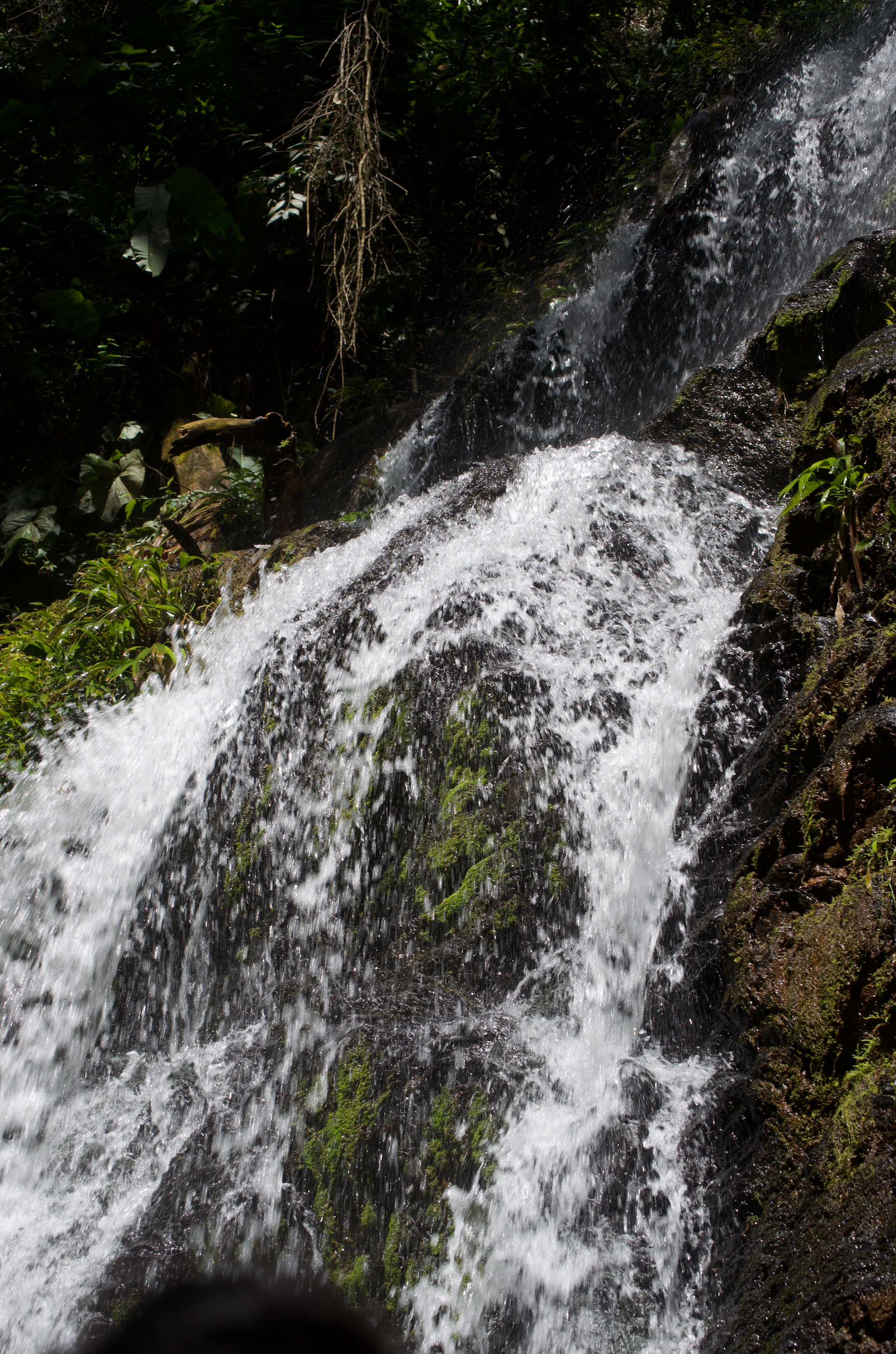 A lush waterfall cascades down mossy rocks.